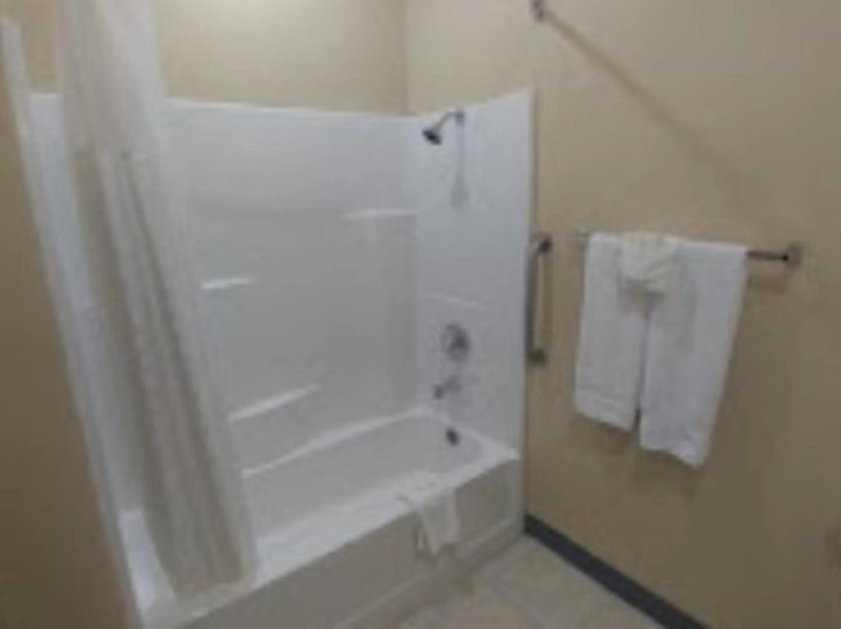 Bathroom in Quality Inn & Suites Roanoke - Fort Worth North