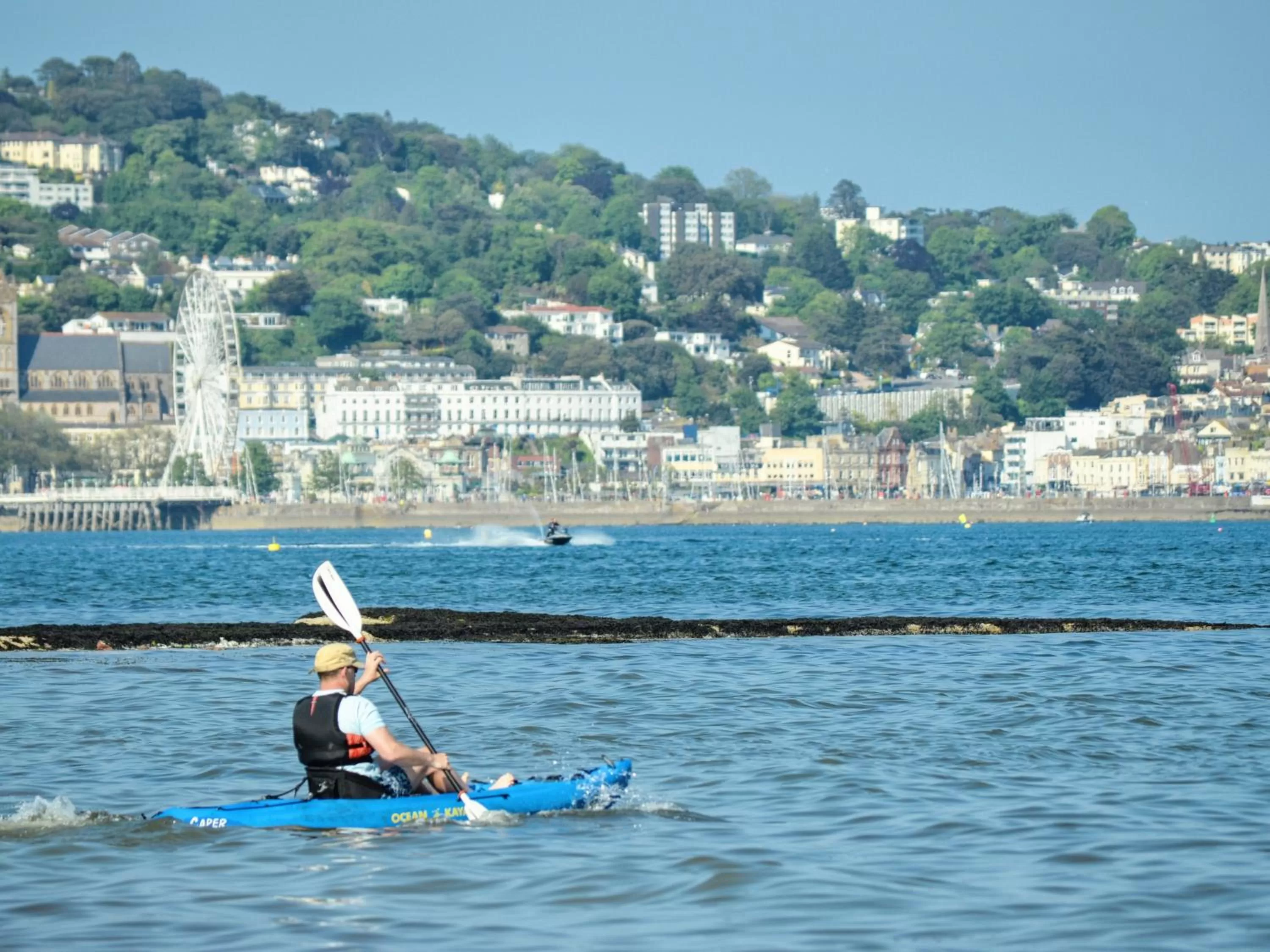 Activities in Merritt Guest House B&B