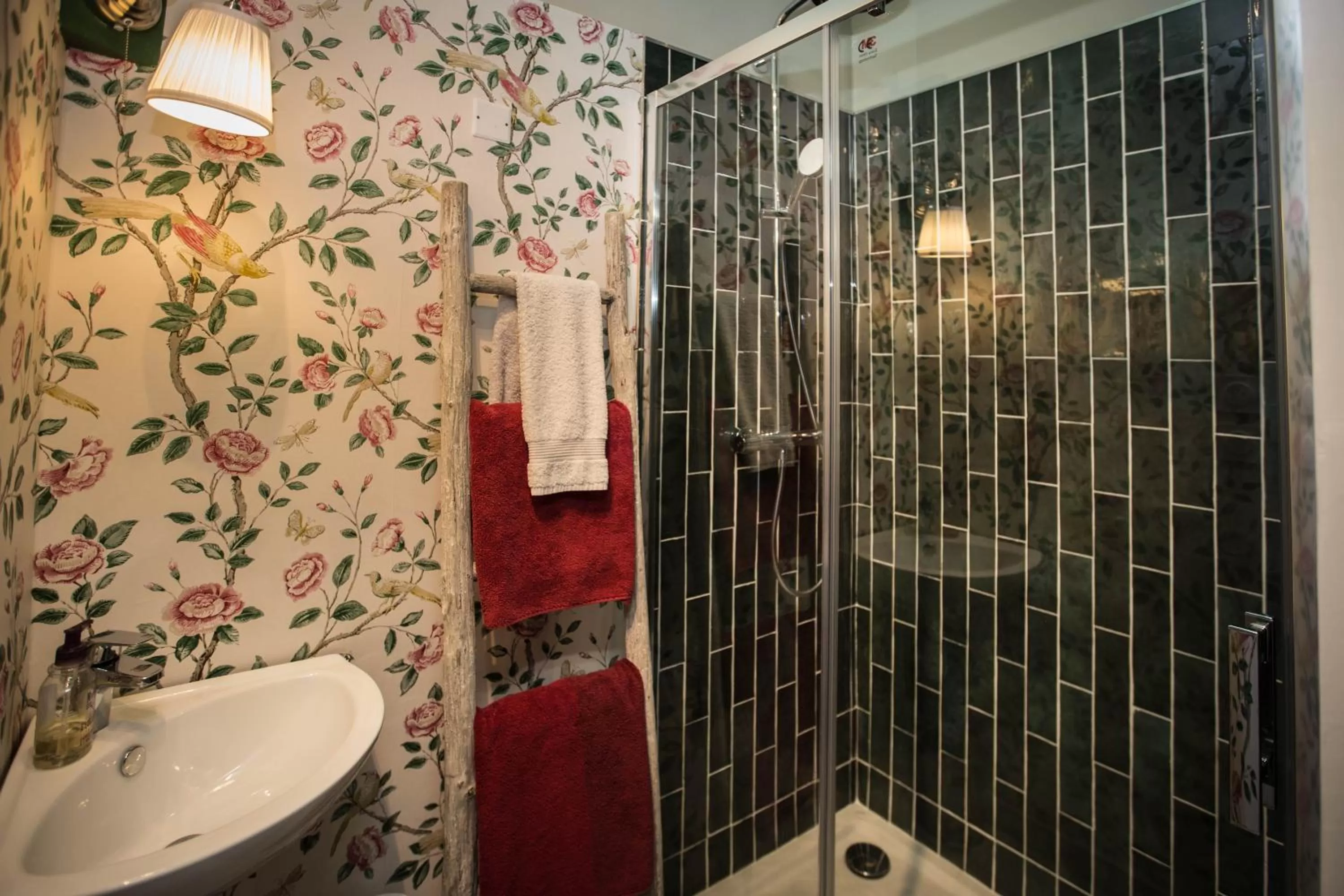 Shower in Carcassonne Bed and Breakfast du Palais