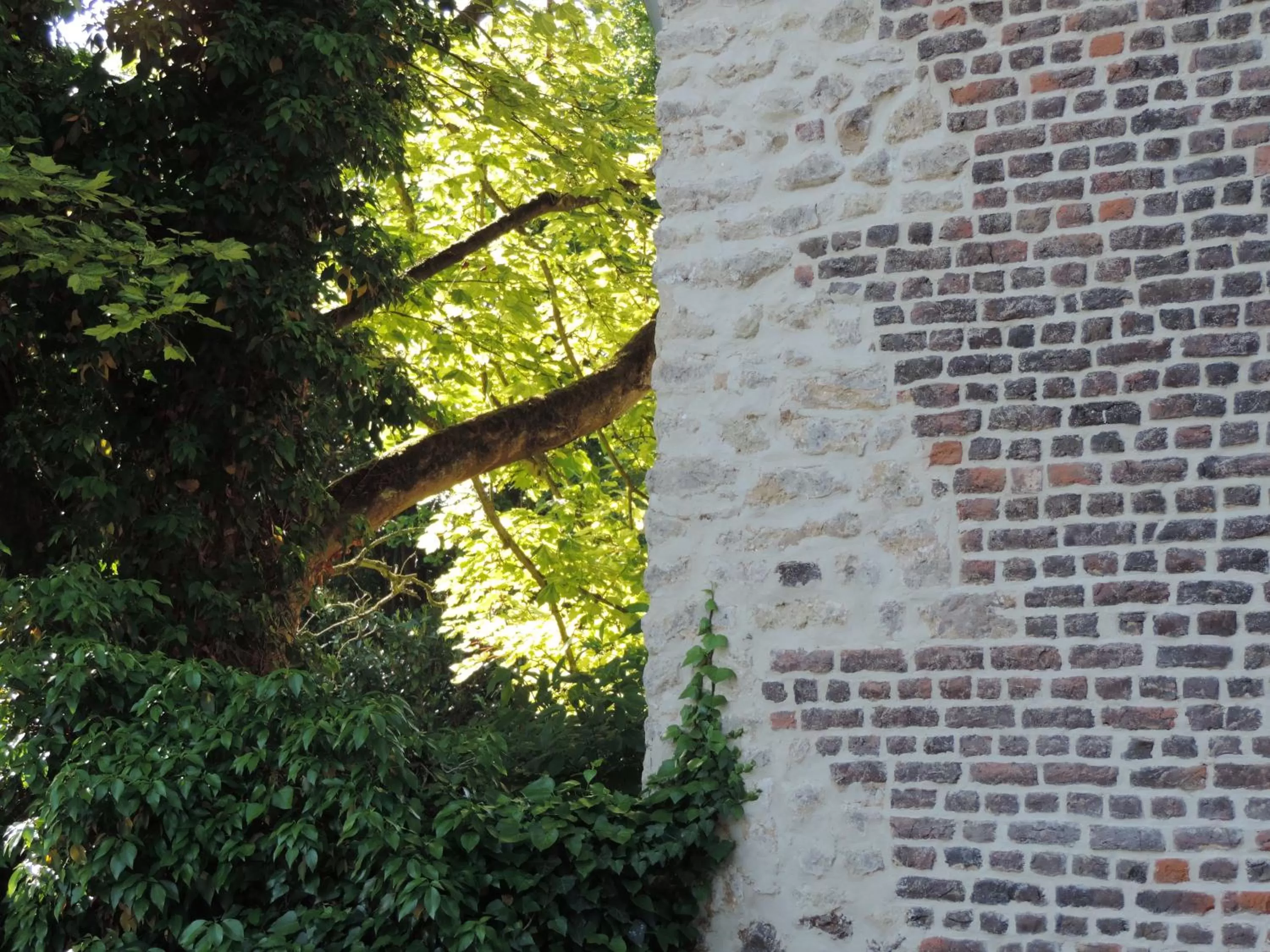 Decorative detail in B&B Le Valangré