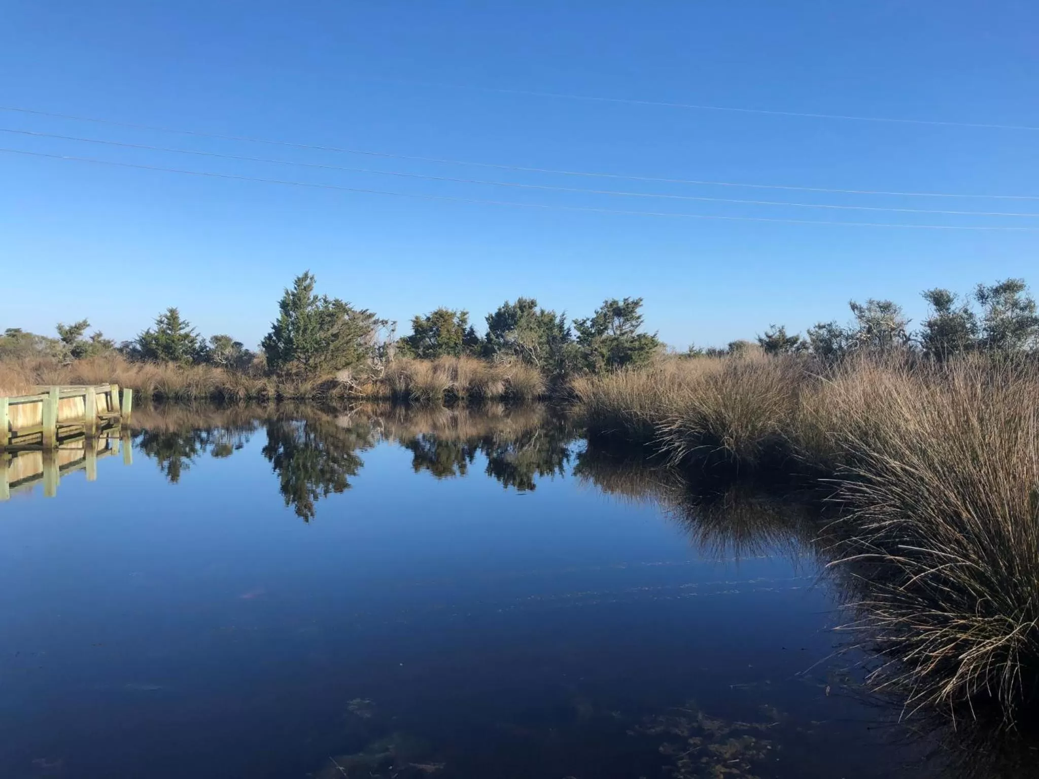 Natural landscape in Swell Motel