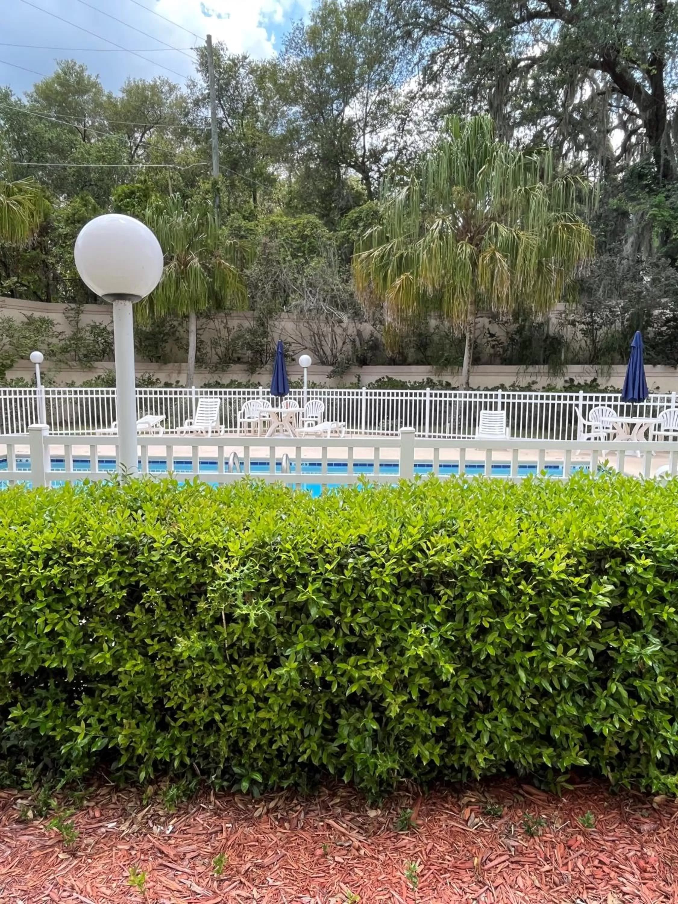 Day in Microtel Inn and Suites by Wyndham - Lady Lake/ The Villages