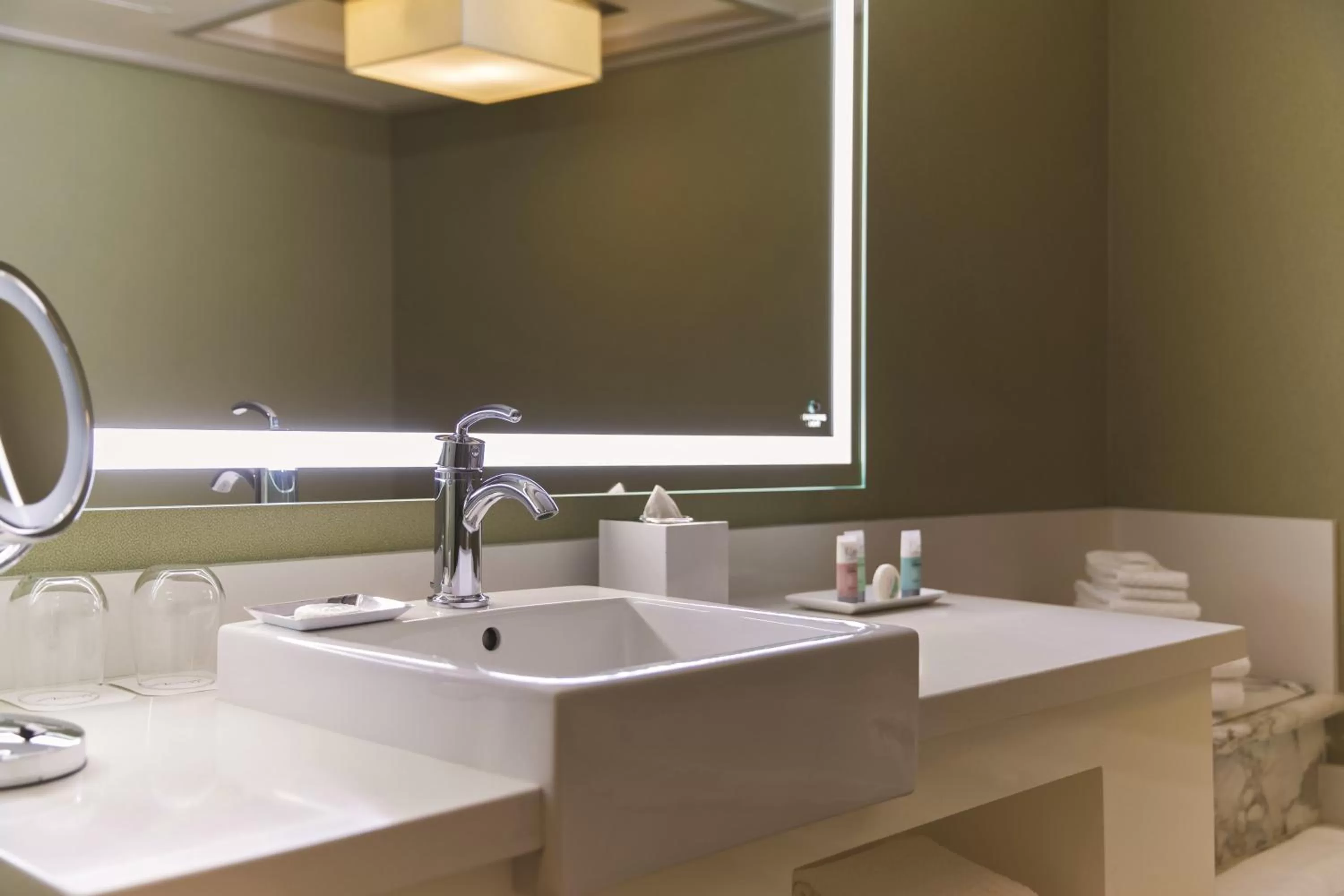 Bathroom in The Mirage