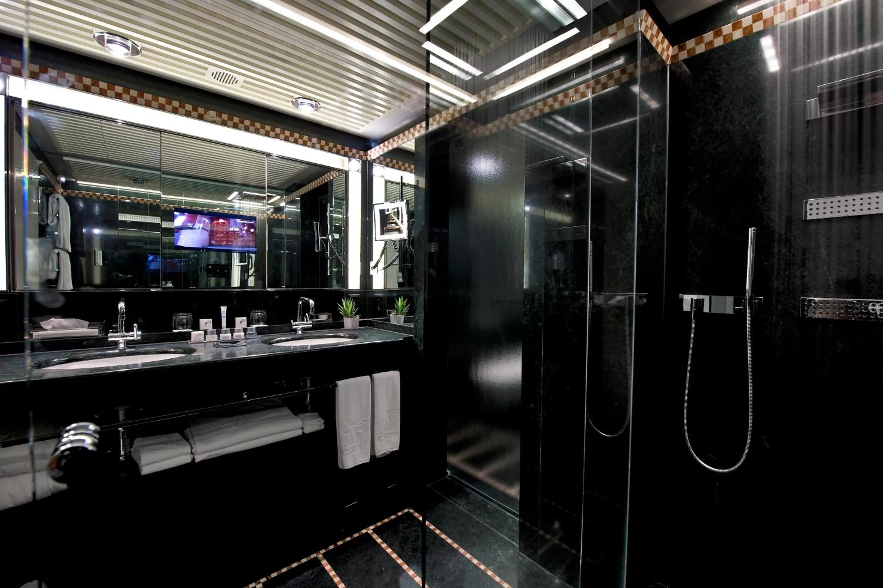 Shower in Widder Hotel - Zurichs Luxury Hideaway