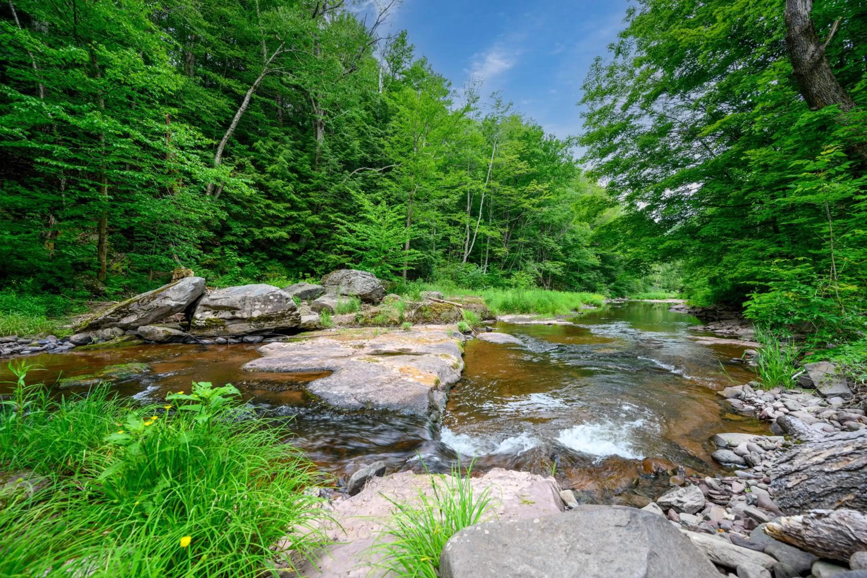 Mountain Treasure Bed and Breakfast