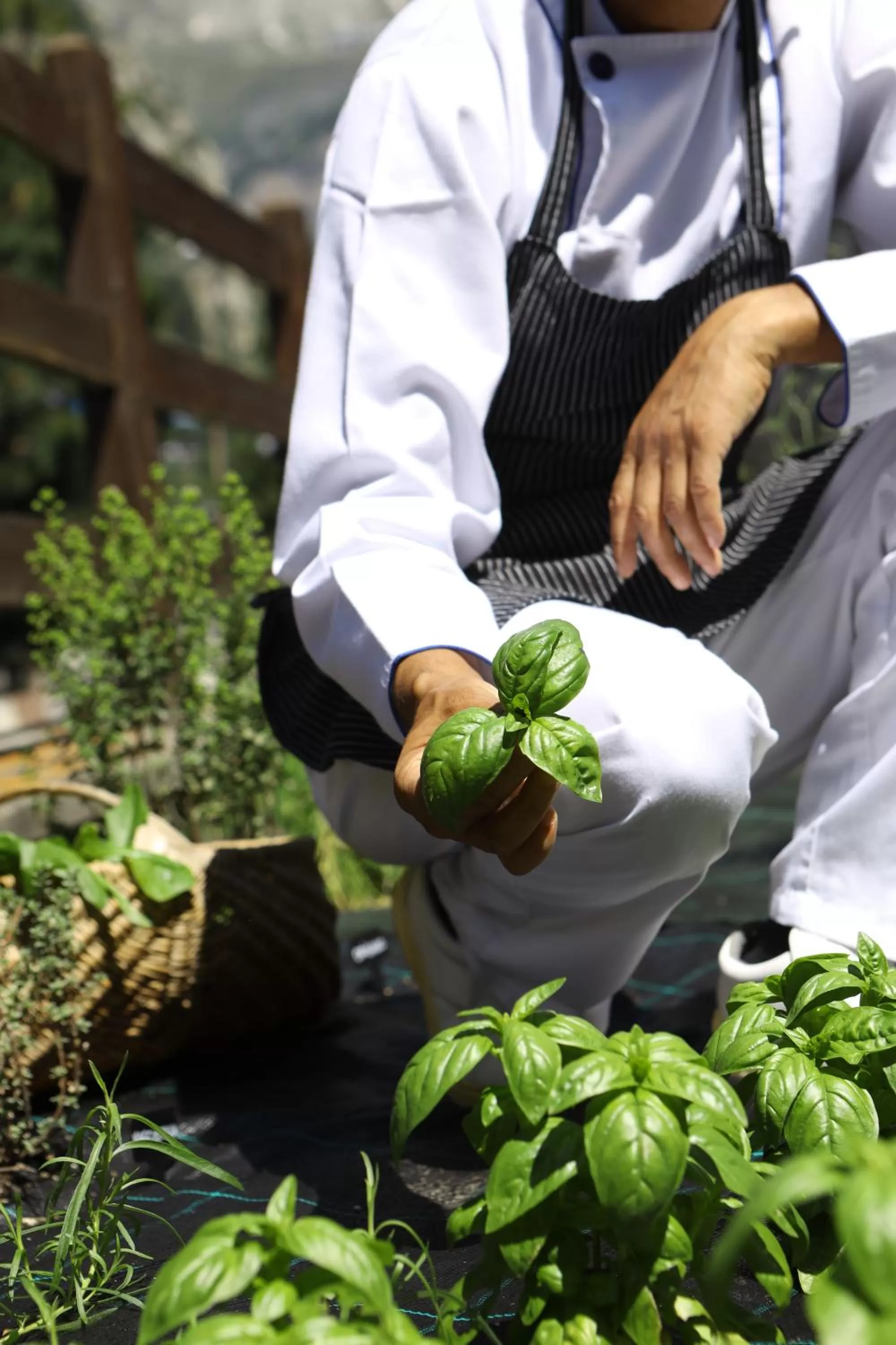Garden in Hotel Walser Courmayeur