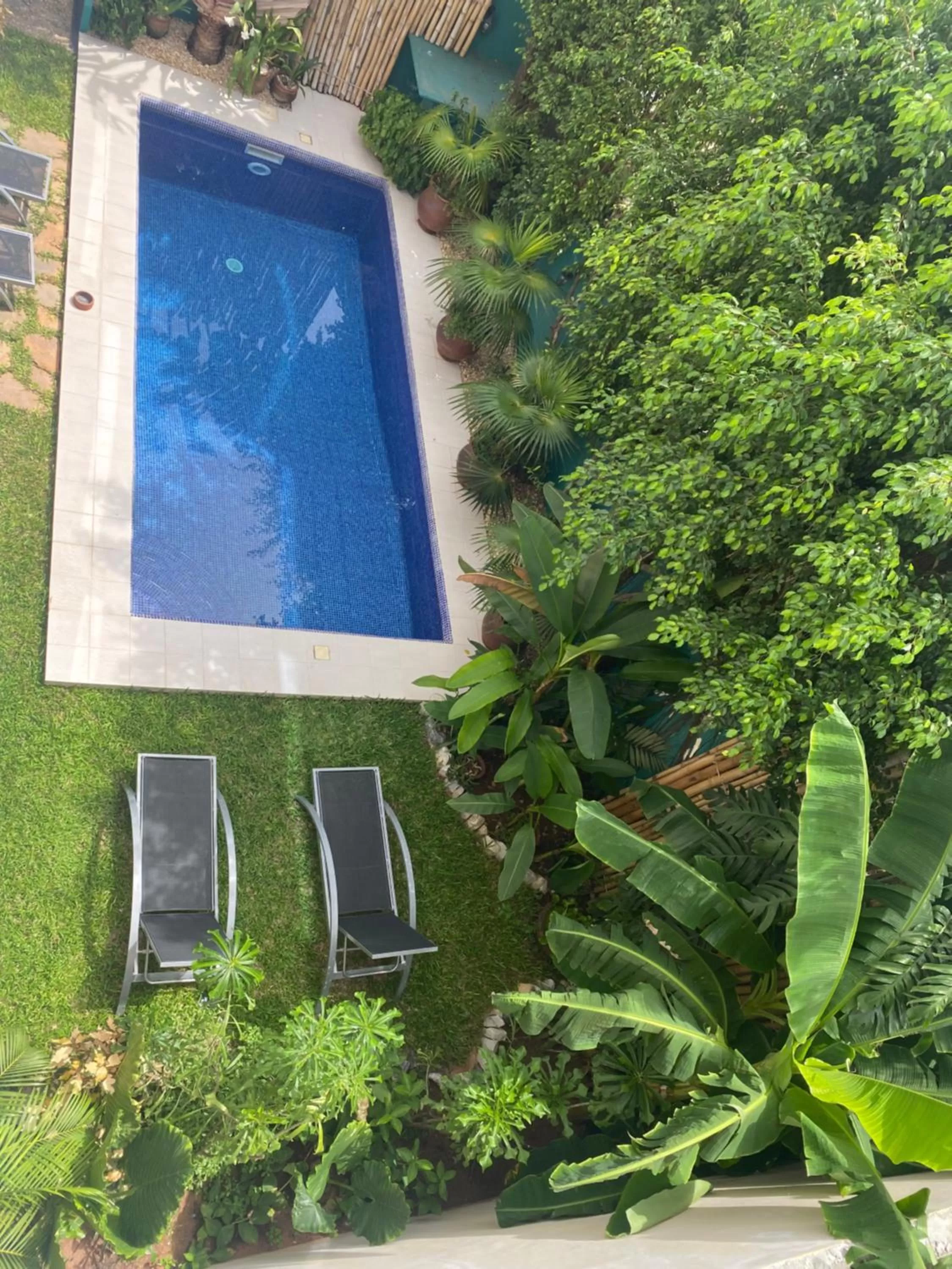 Pool View in L'Oasis Guesthouse