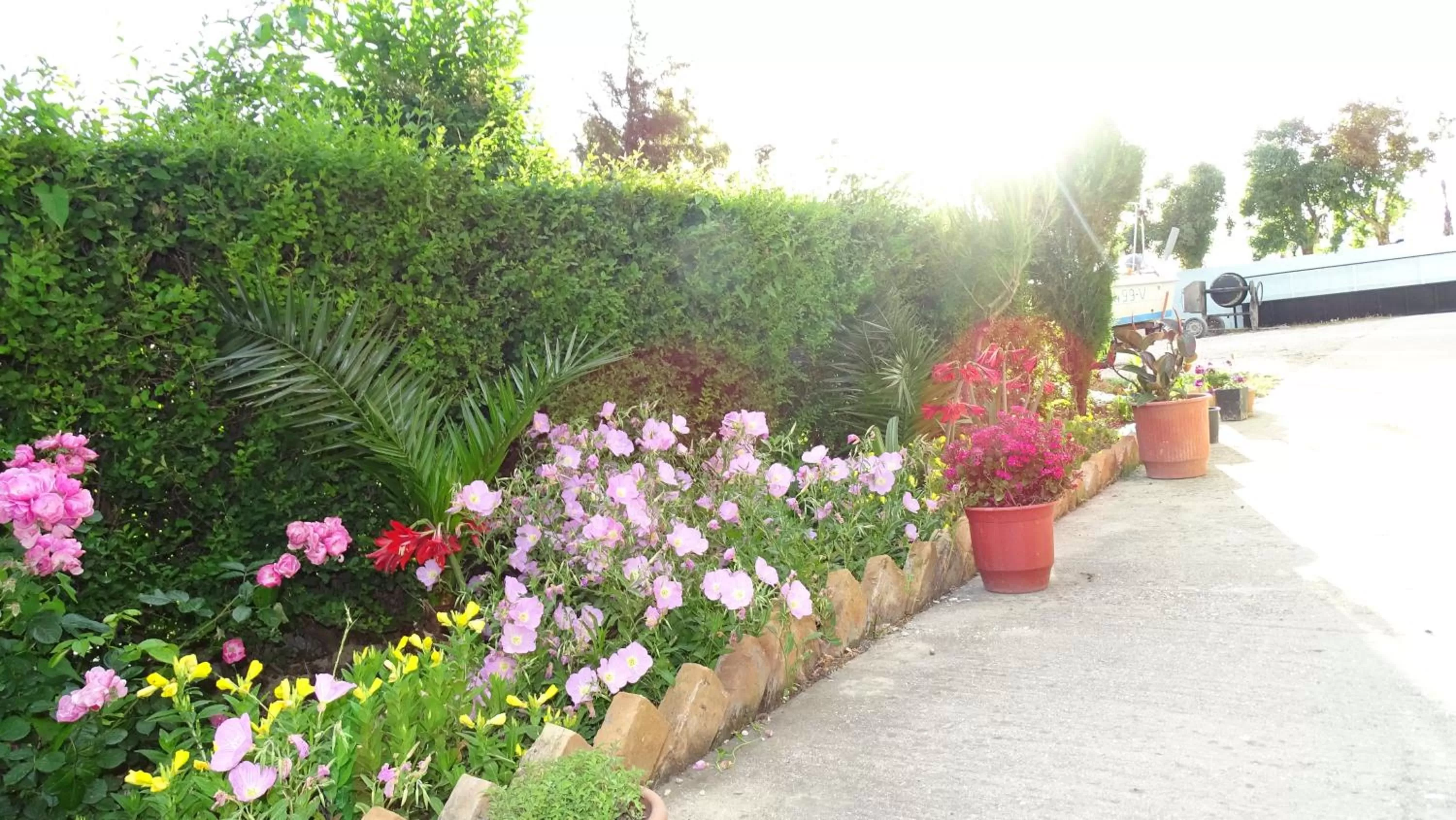 Day, Garden in Hotel Alba-Gert