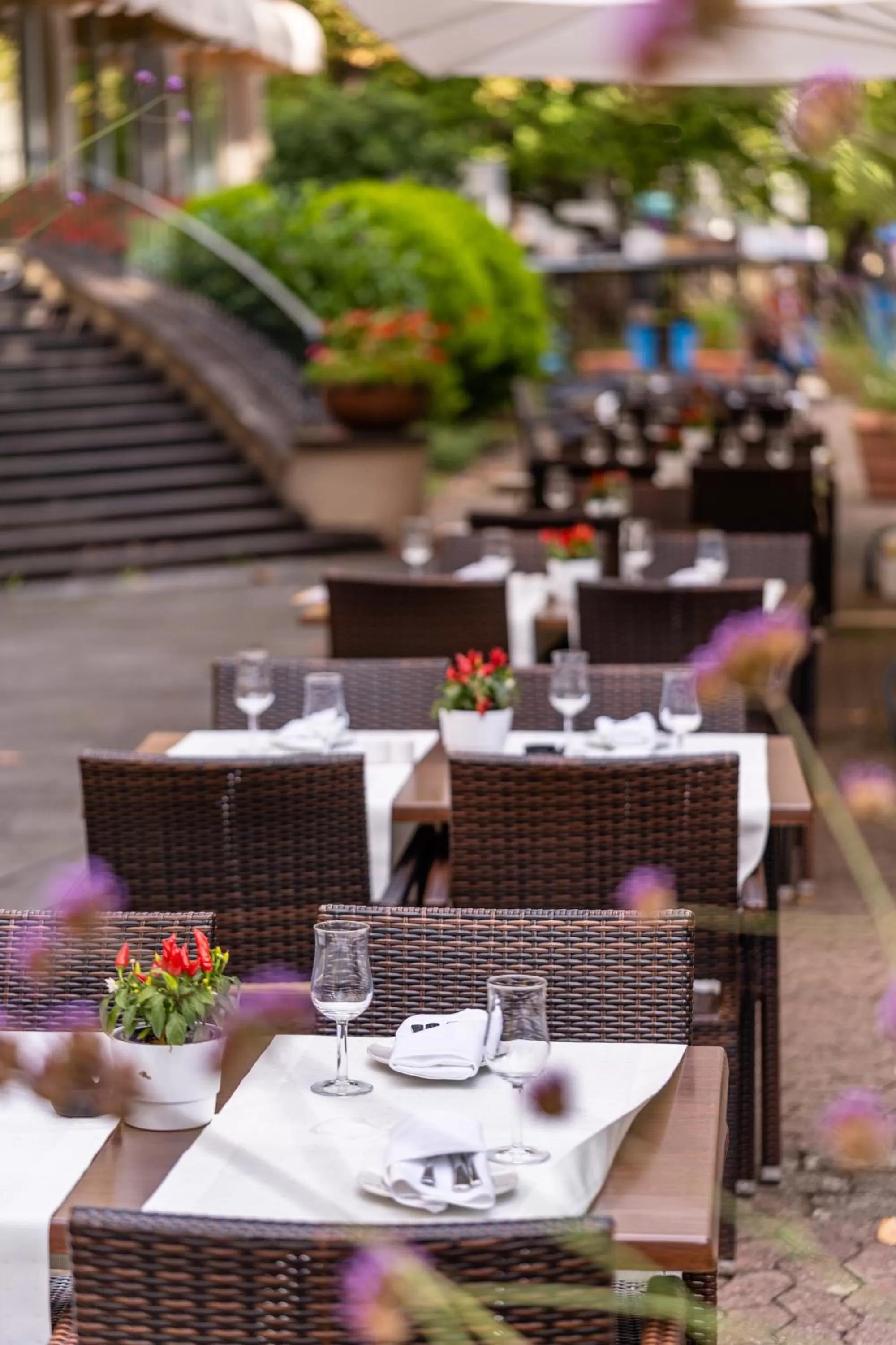 Restaurant/places to eat in Parkhotel Kurhaus