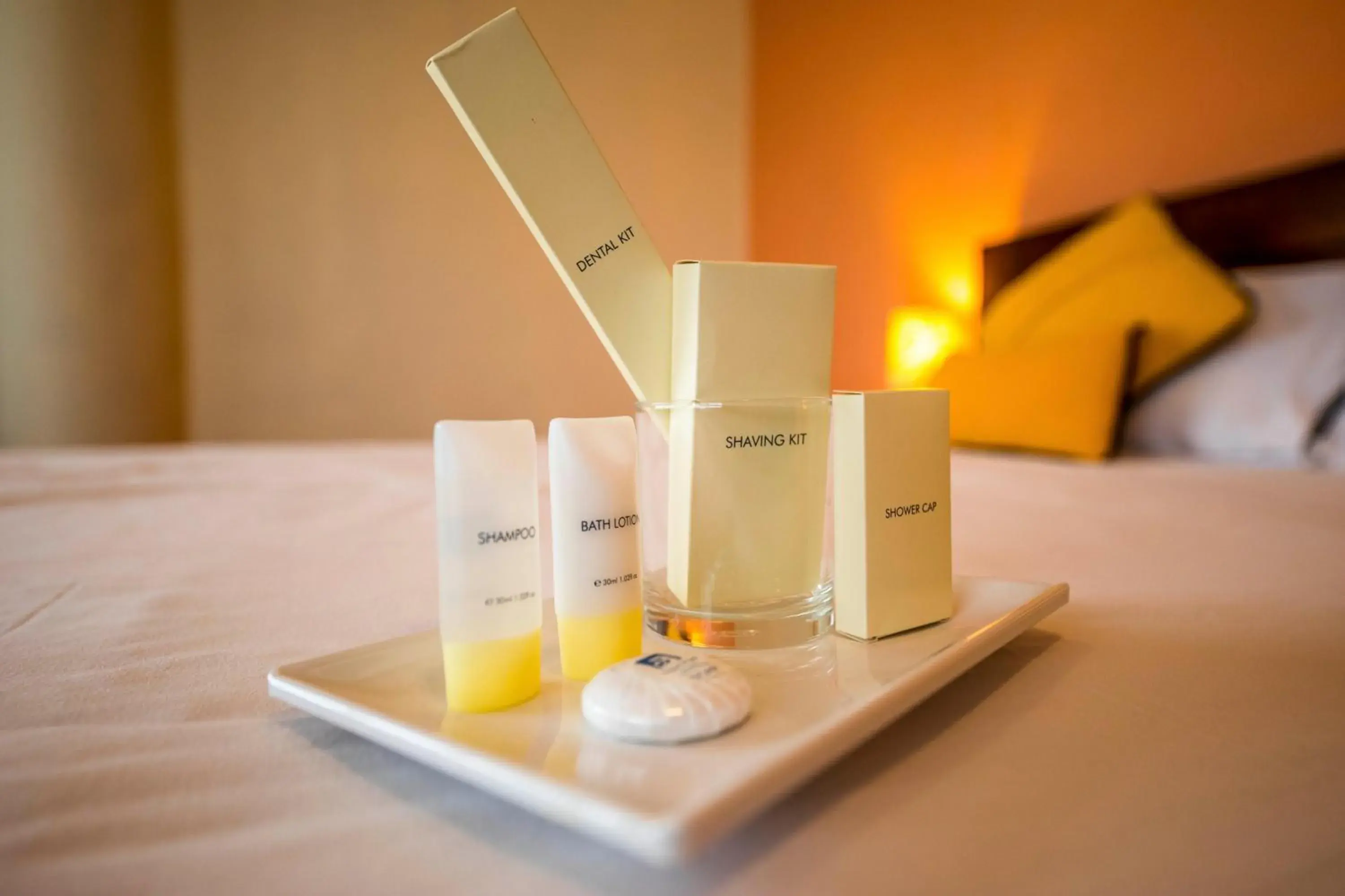 Deluxe Double or Twin Room in Airport Hotel Kathmandu - Near Pashupatinath Temple Deluxe Double or Twin Room in Airport Hotel Kathmandu - Near Pashupatinath Temple