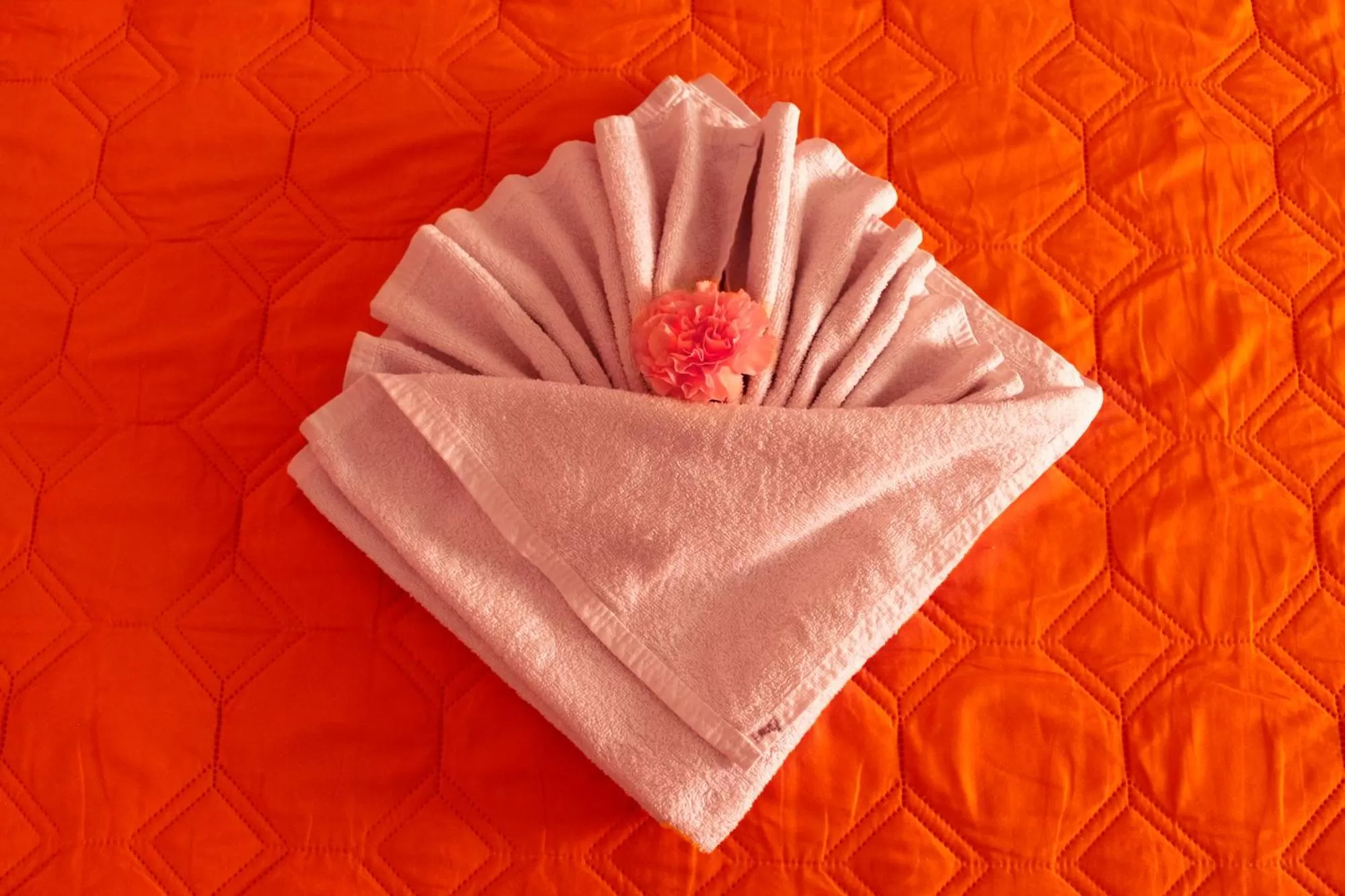 Decorative detail in Hotel Danibaan