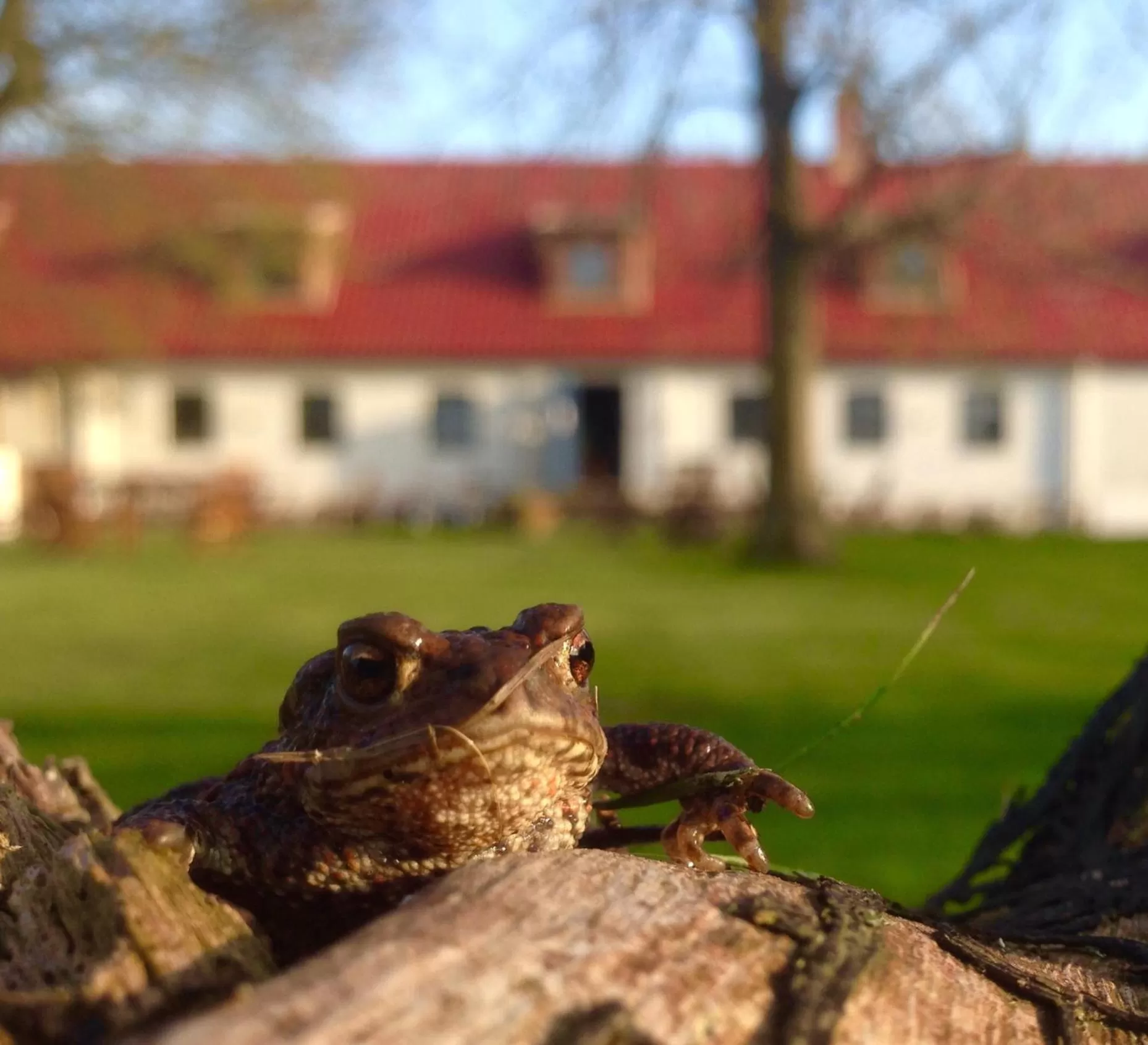 Property building in Tryde 1303 B&B på Österlen
