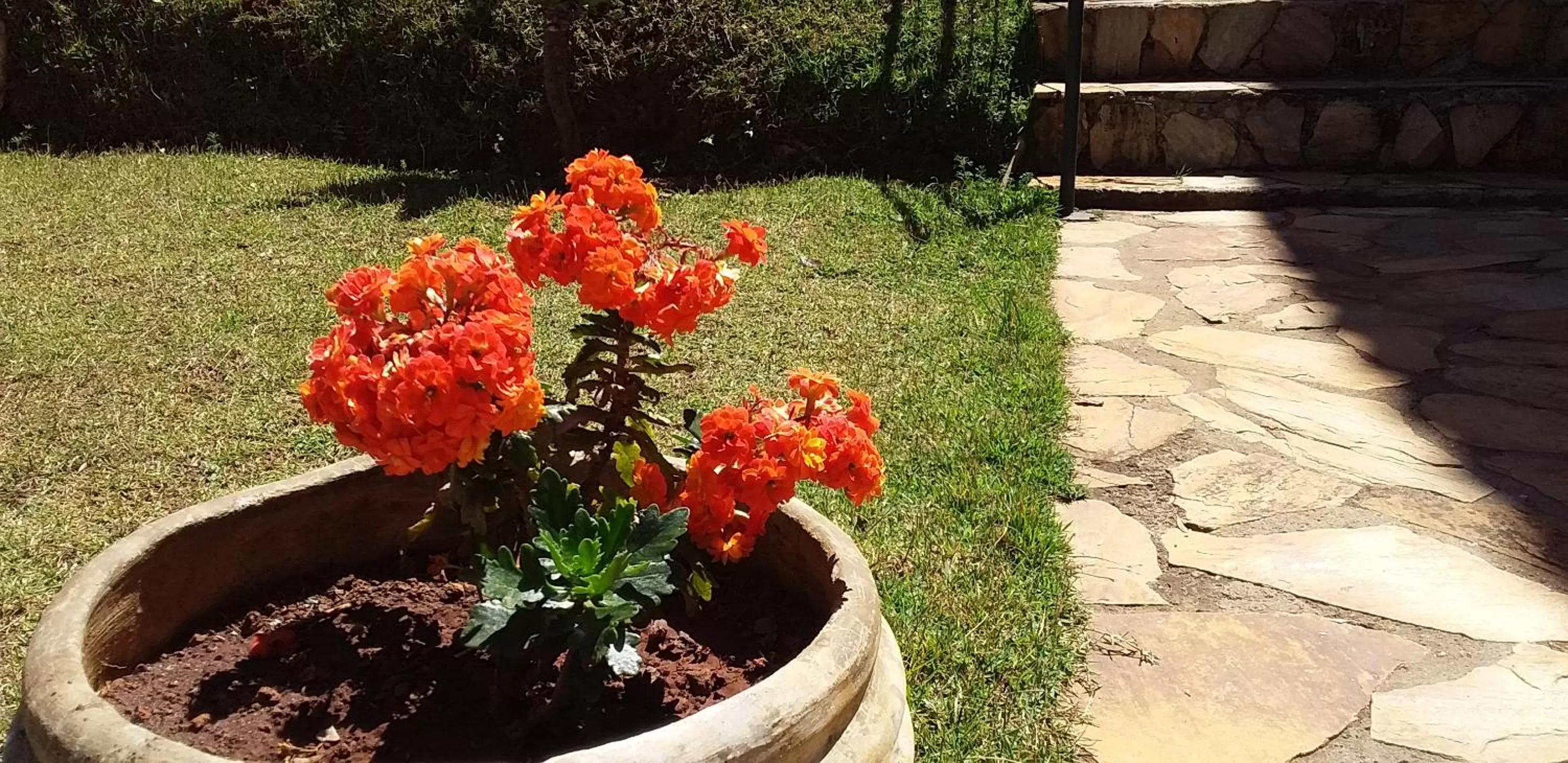 Pousada Vila Real Flats