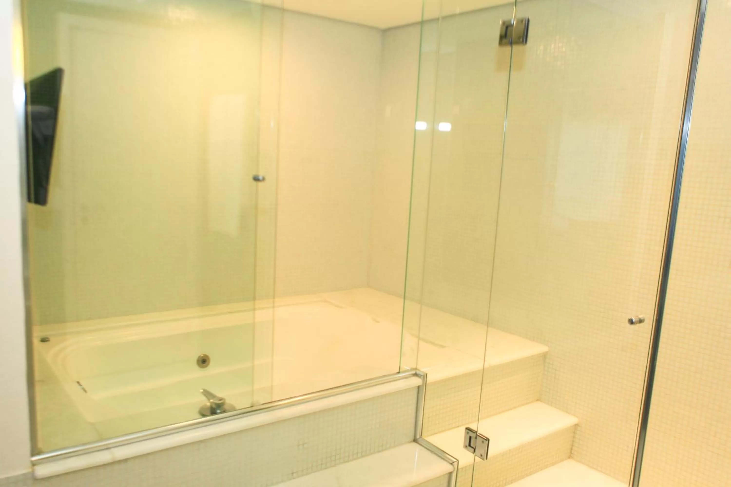 Bath in Mercure Sao Jose dos Campos