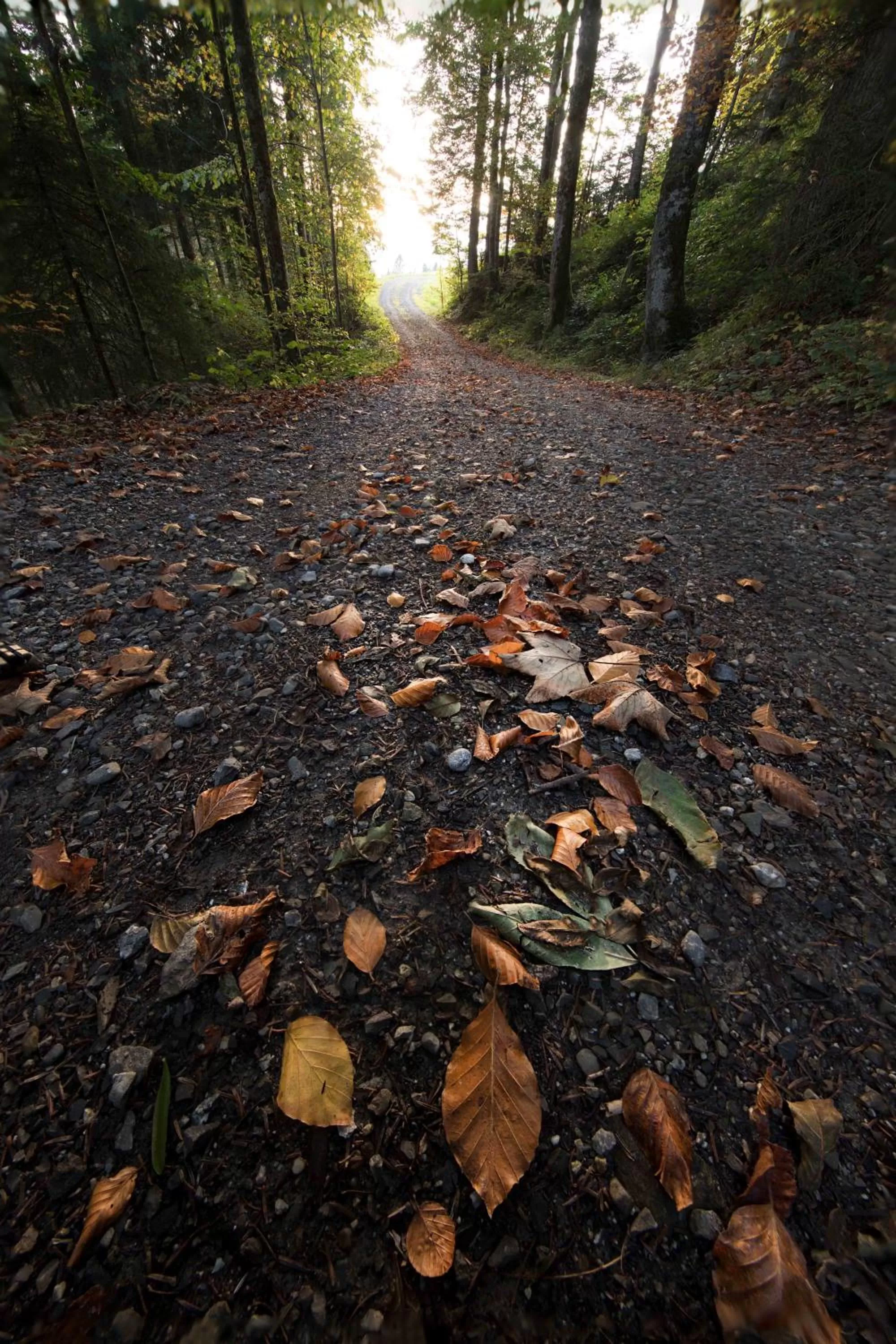 Hiking in St Hubertus BnB