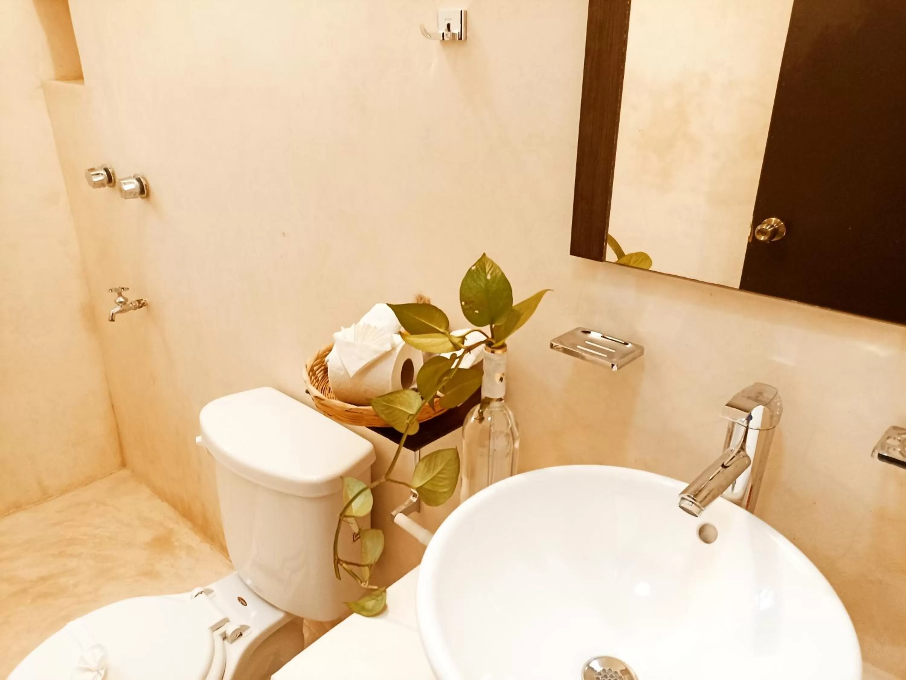 Casa De Los Pájaros - B&B