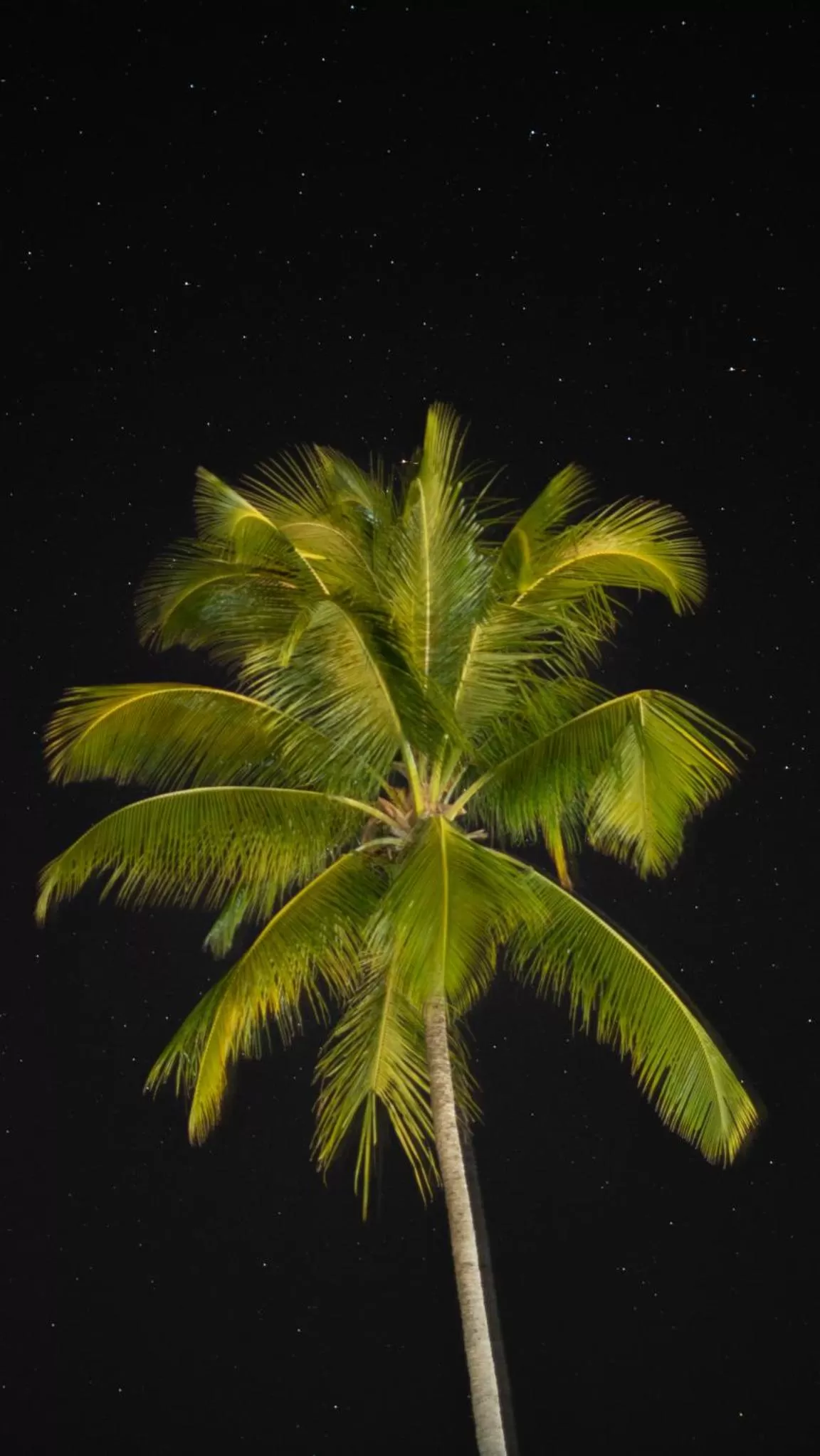 Night in Villa Canziani & Donato