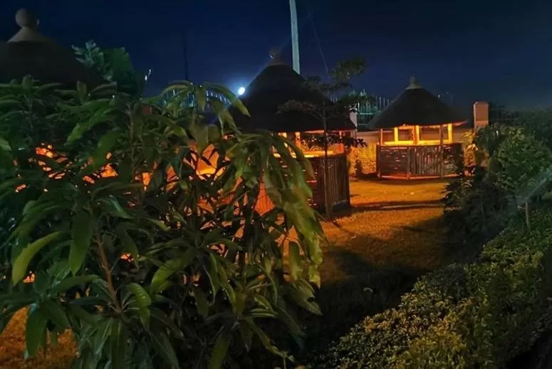 Property Building in Elite Backpackers Services