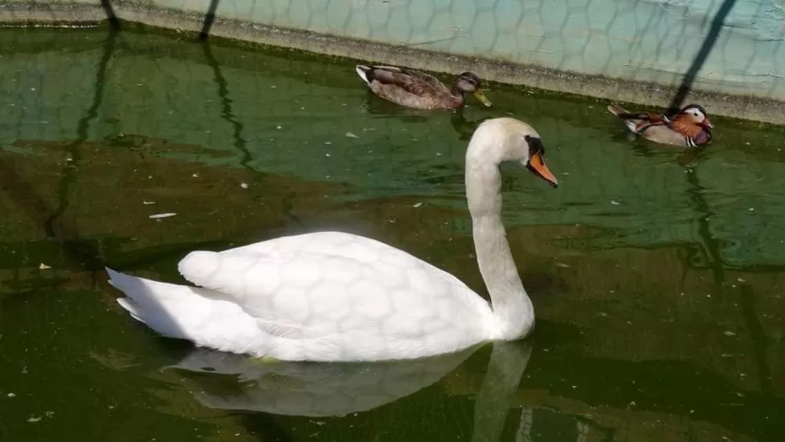 Etno selo Vile Jefimija, selo Preobrazenje, Vranje
