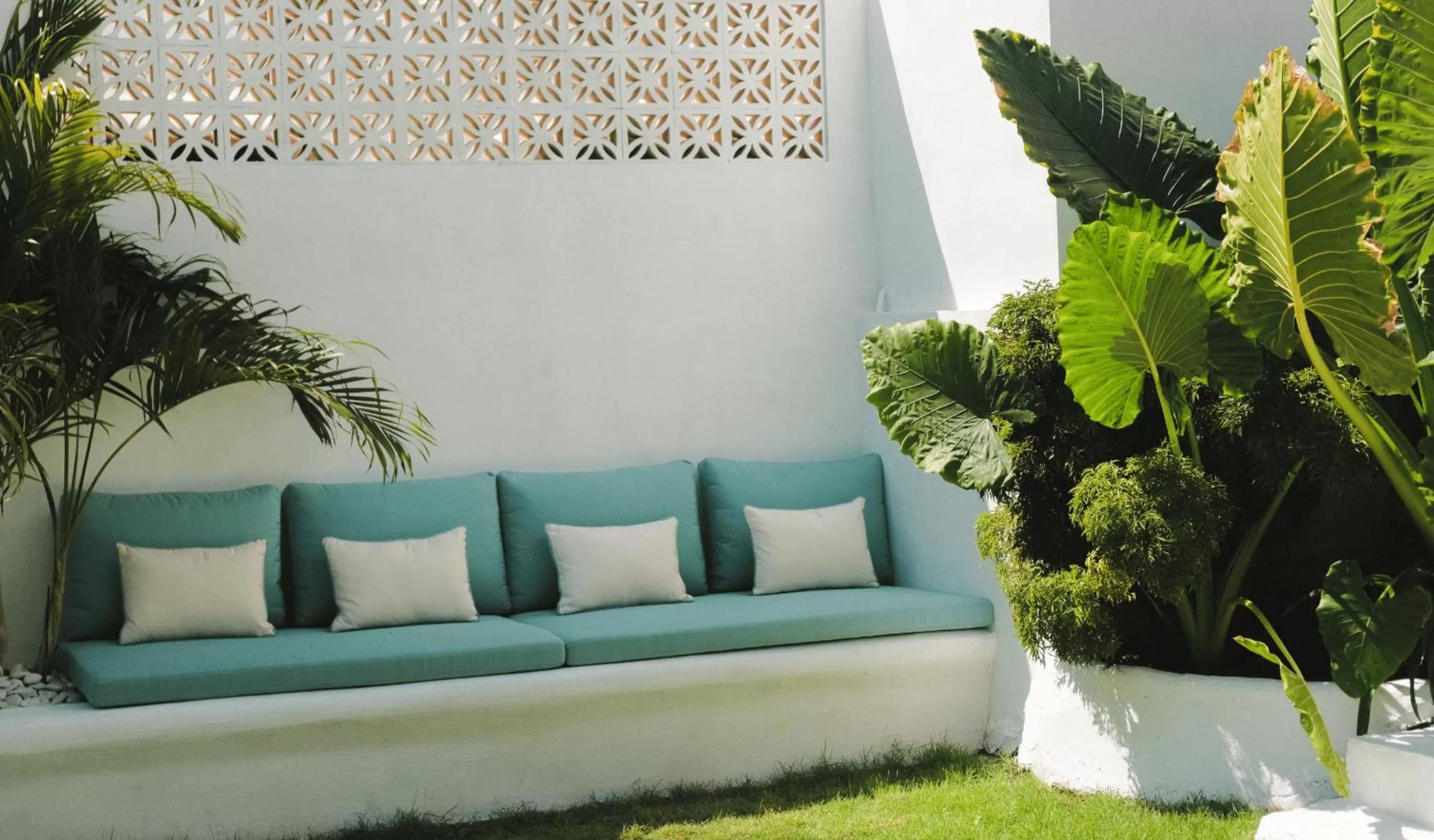 Garden in The Shacks at Sandy Bay