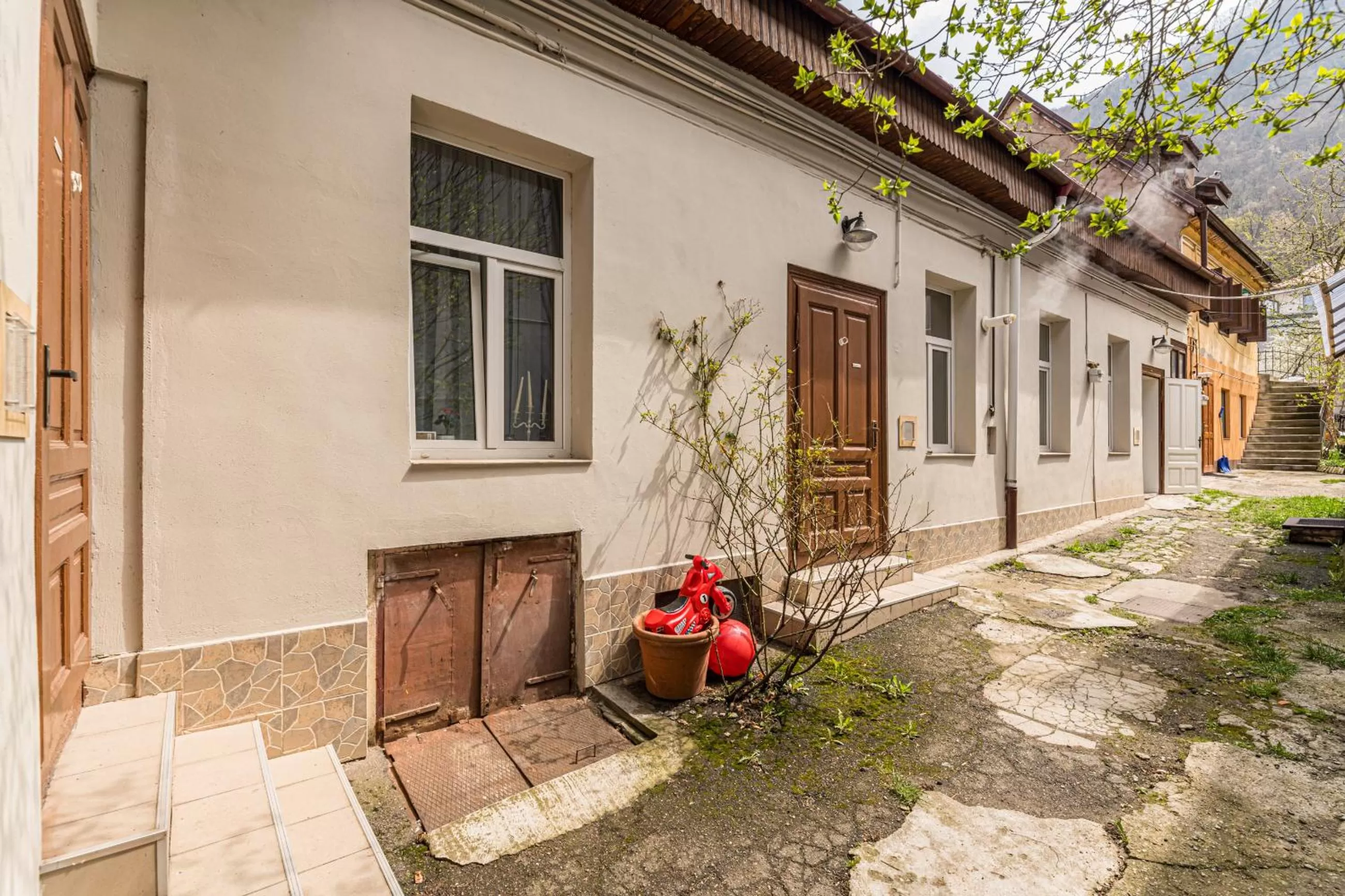 Garden in ALBERT RESIDENCE with PARKING