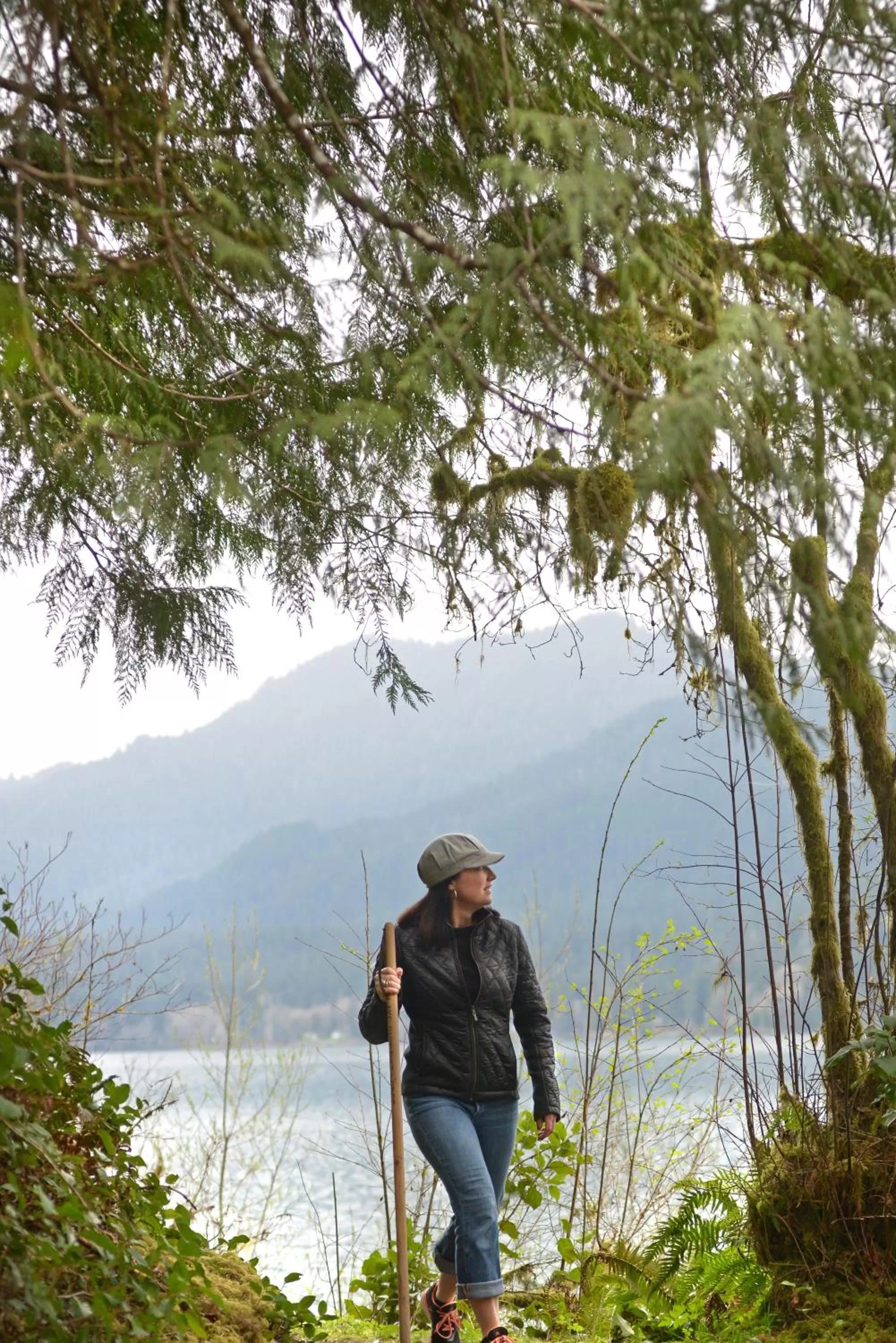 Hiking in Lake Quinault Lodge