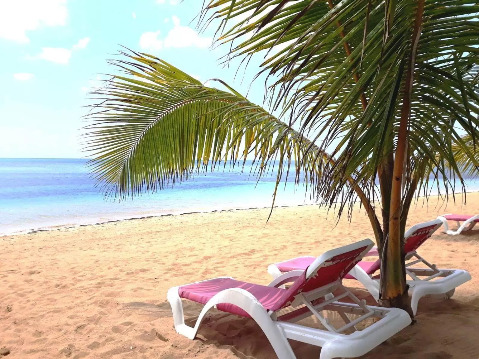 Natural landscape, Beach in Louisa Aparthotel