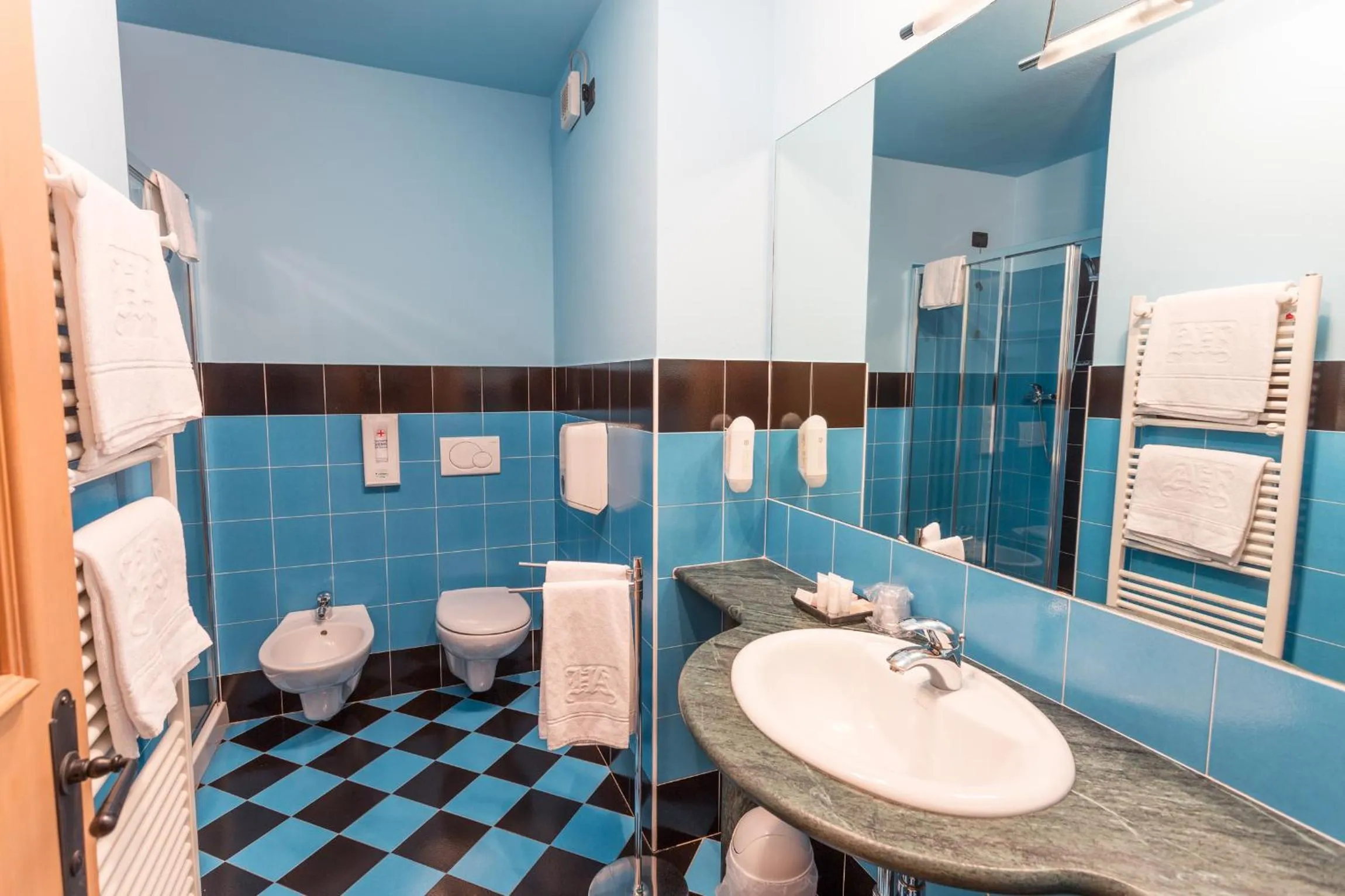 Shower in Hotel Arisch