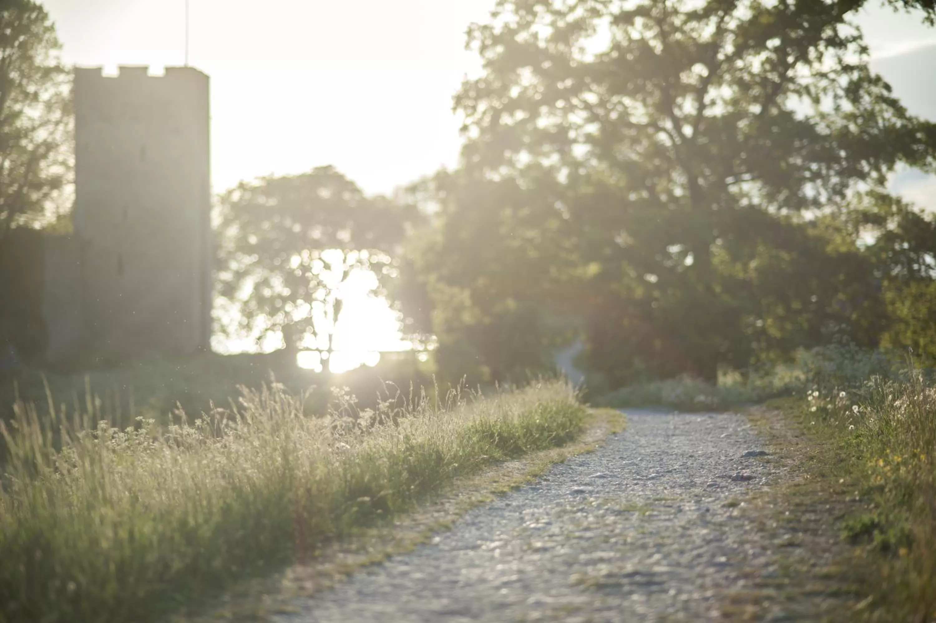 Area and facilities in Hotell Repet