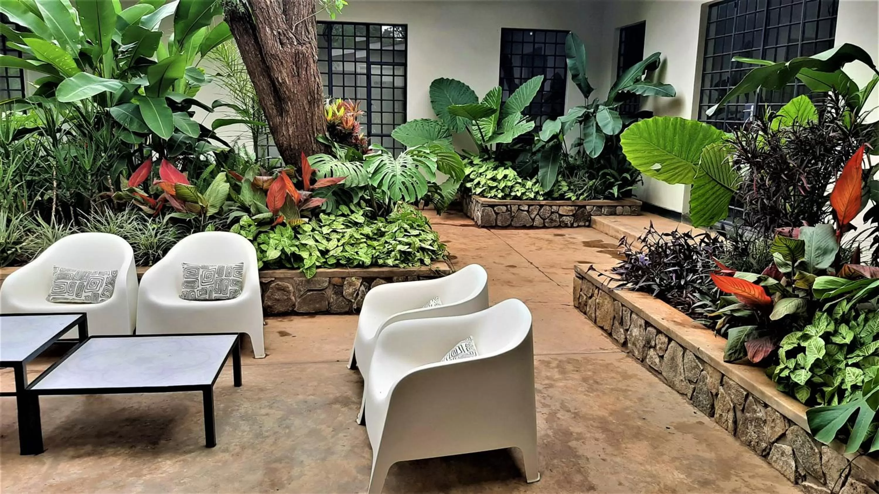 Garden in Mitengo House