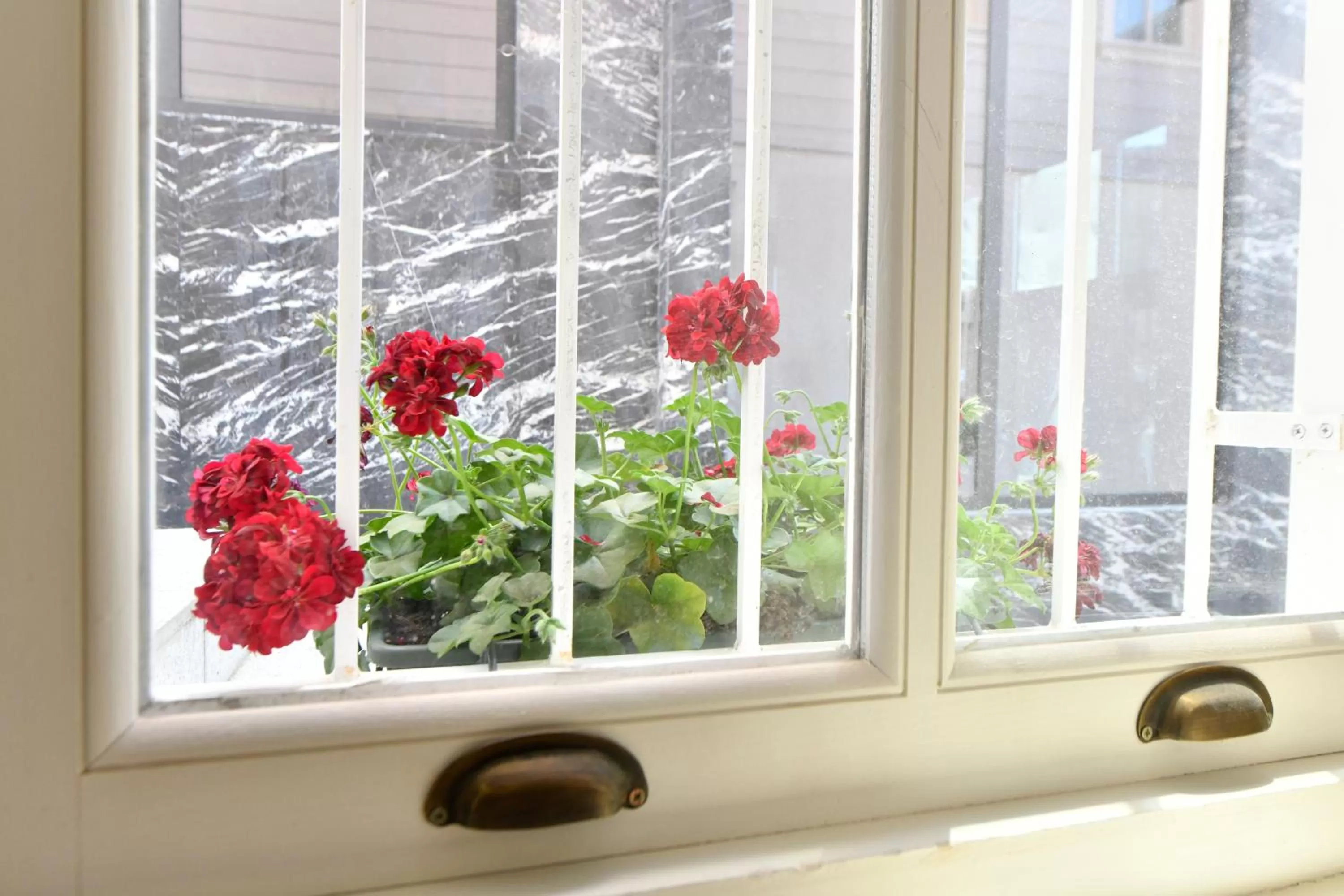 View (from property/room) in Agras Istanbul