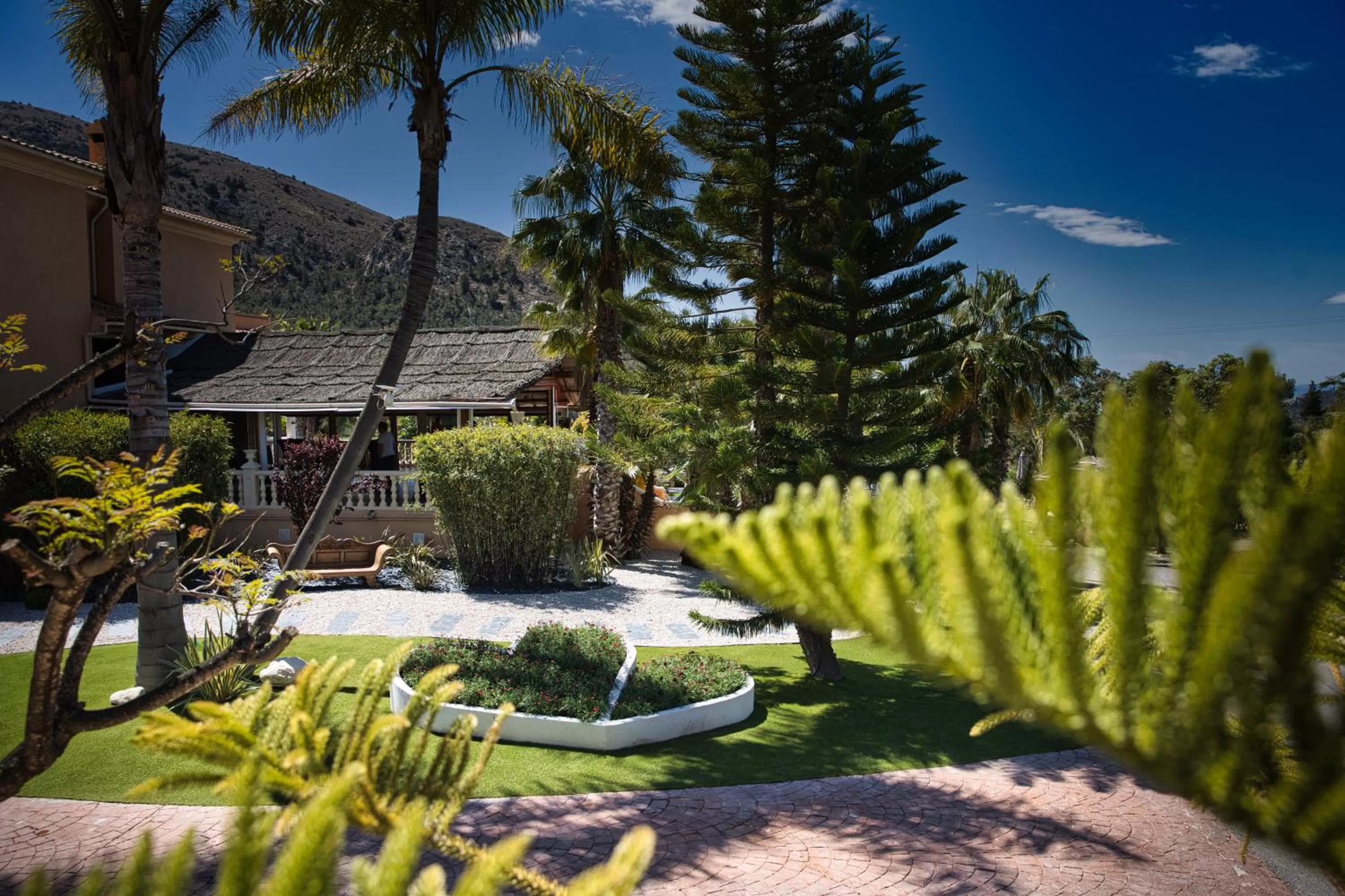 Natural landscape in Events Hotel La Plantación