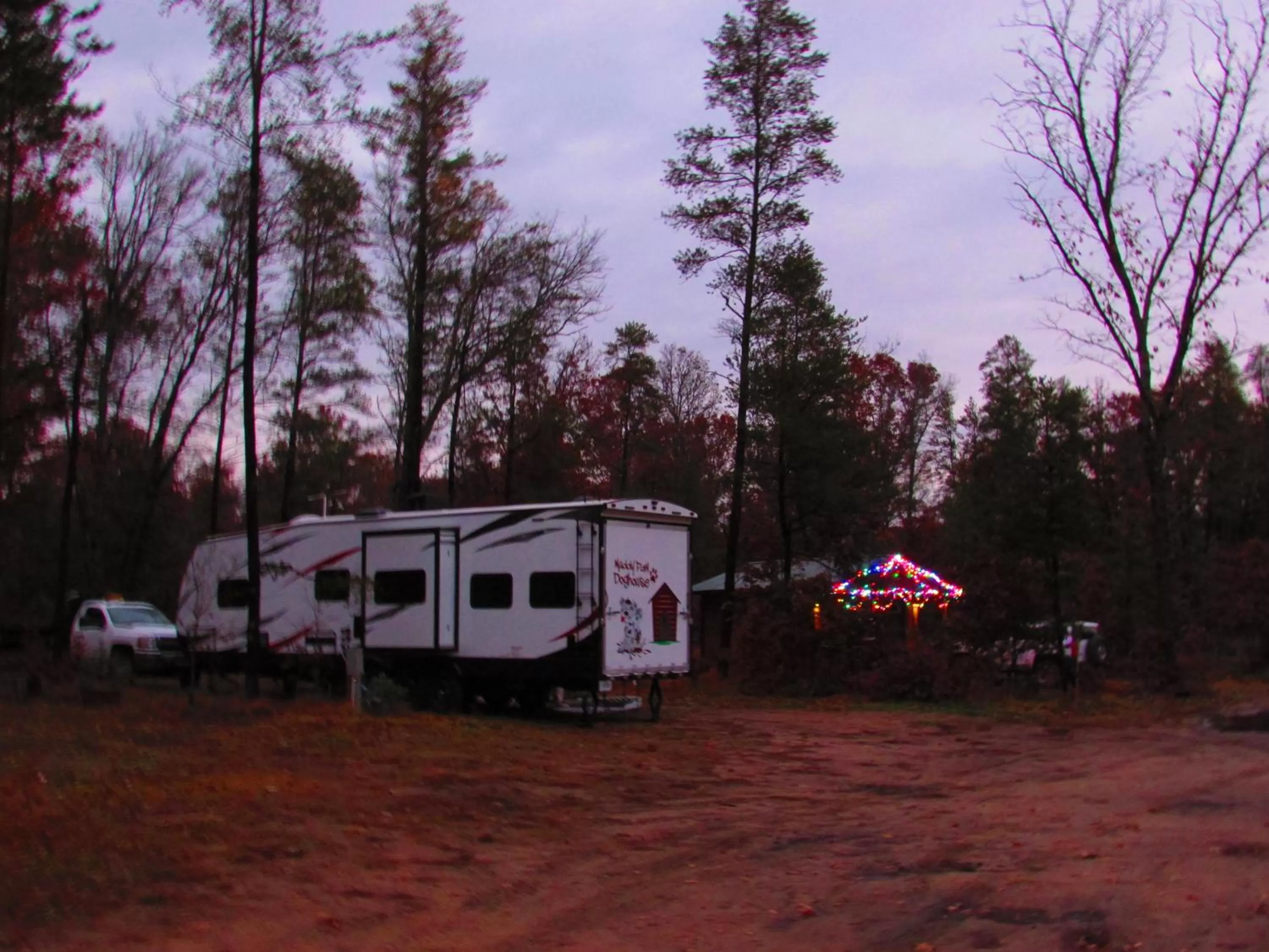 Garden in Best Bear Lodge