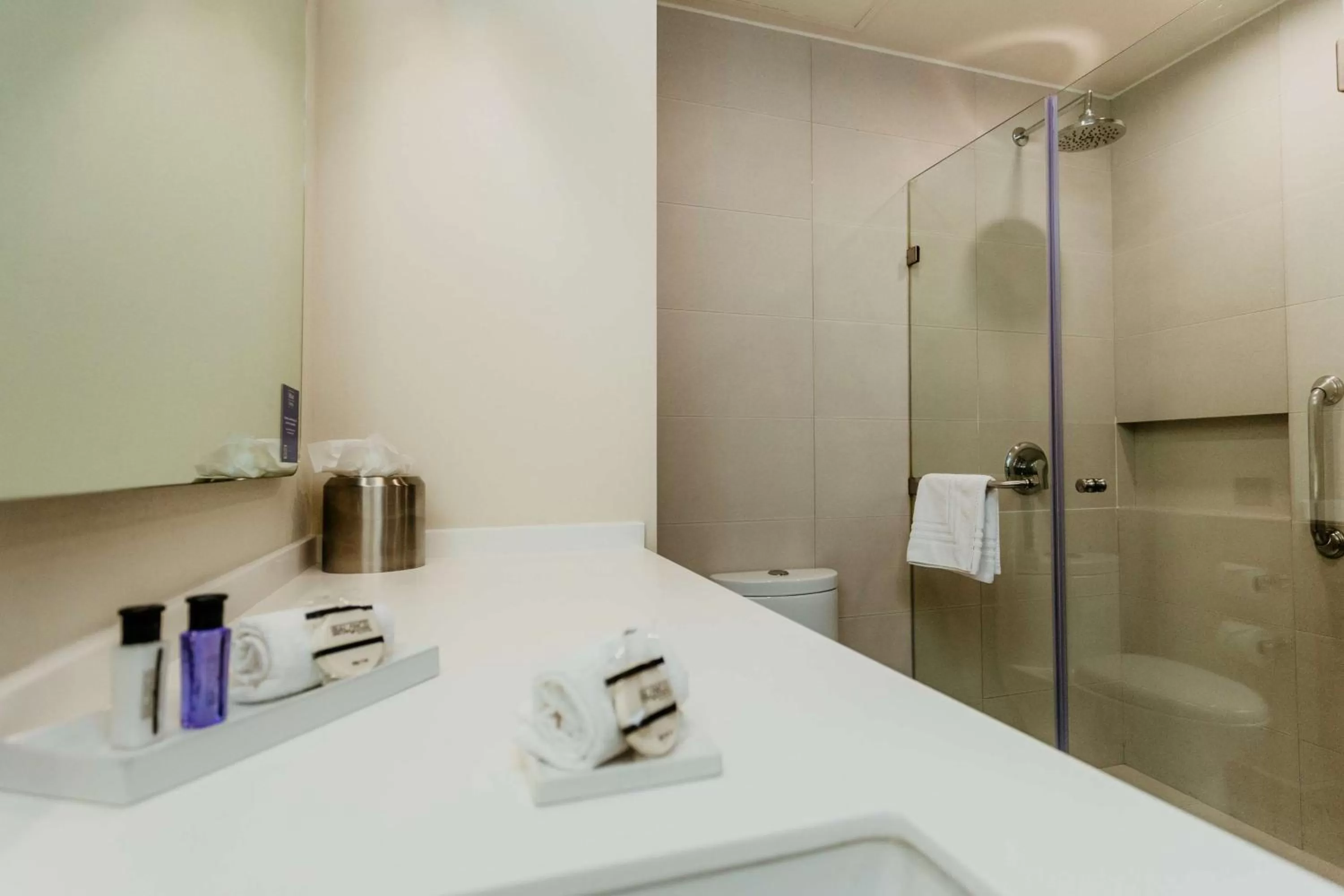 Bathroom in Hilton Garden Inn Silao Aeropuerto Bajio