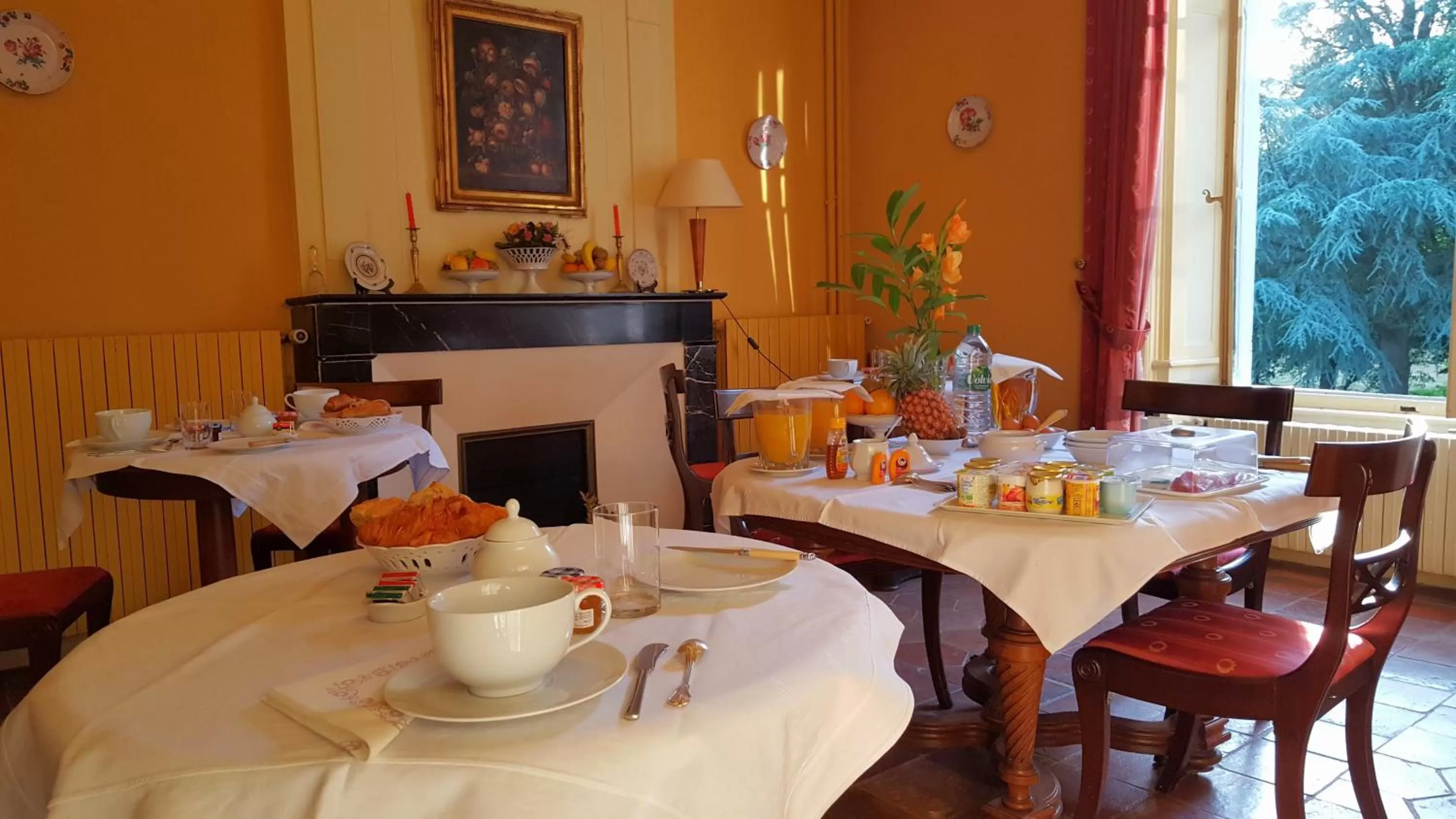 Continental breakfast in Hôtel des 4 continents - Le Mans