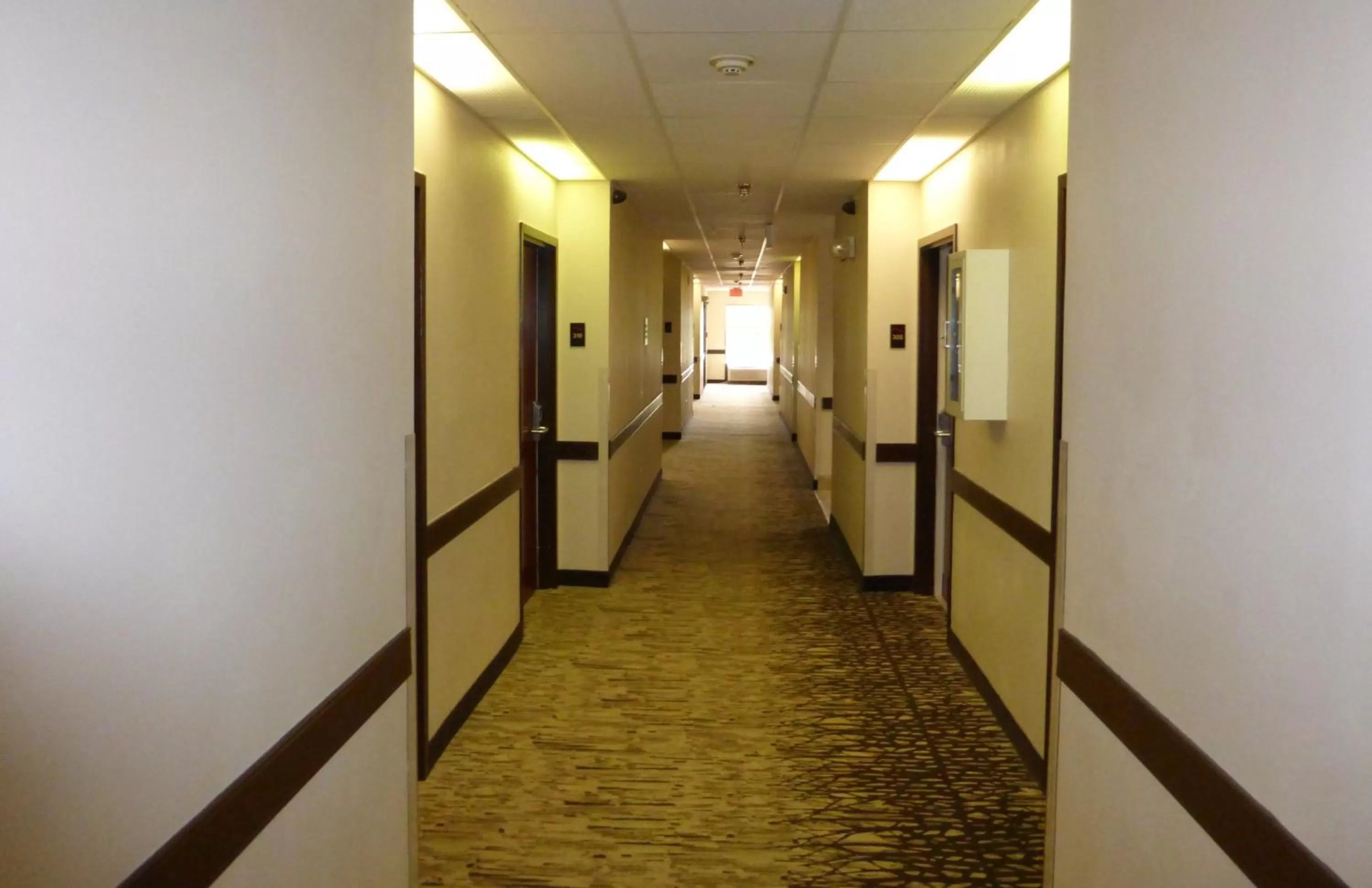 Decorative detail in Red Roof Inn PLUS+ & Suites Chattanooga - Downtown