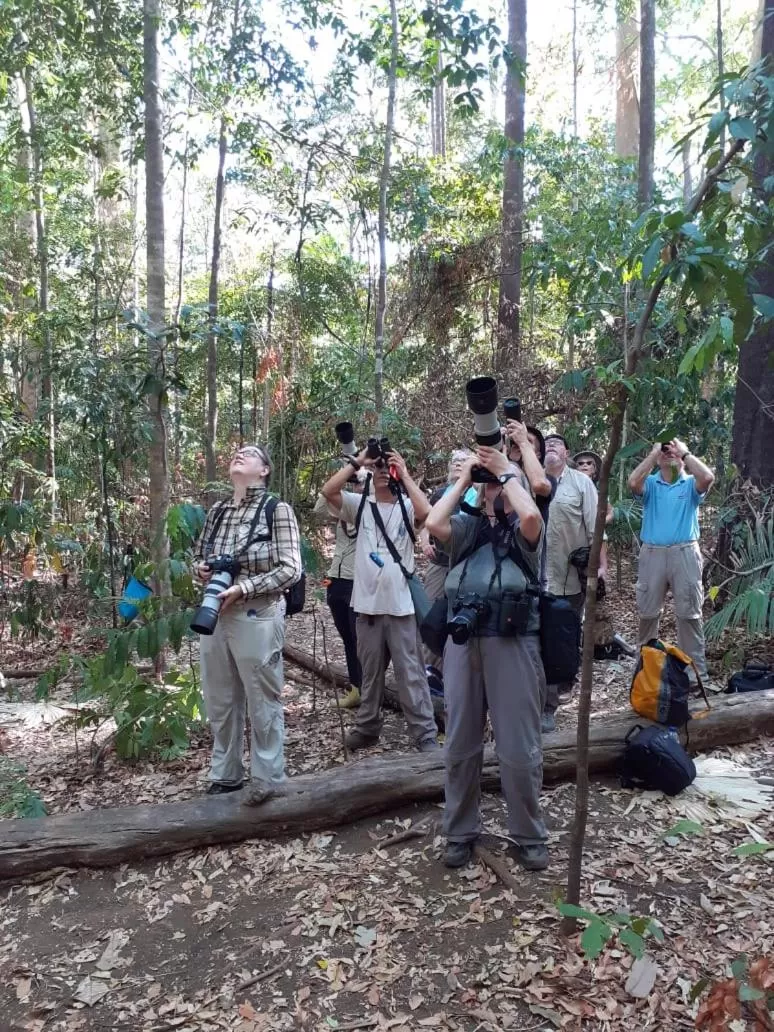 Off site in Tangkoko Lodge