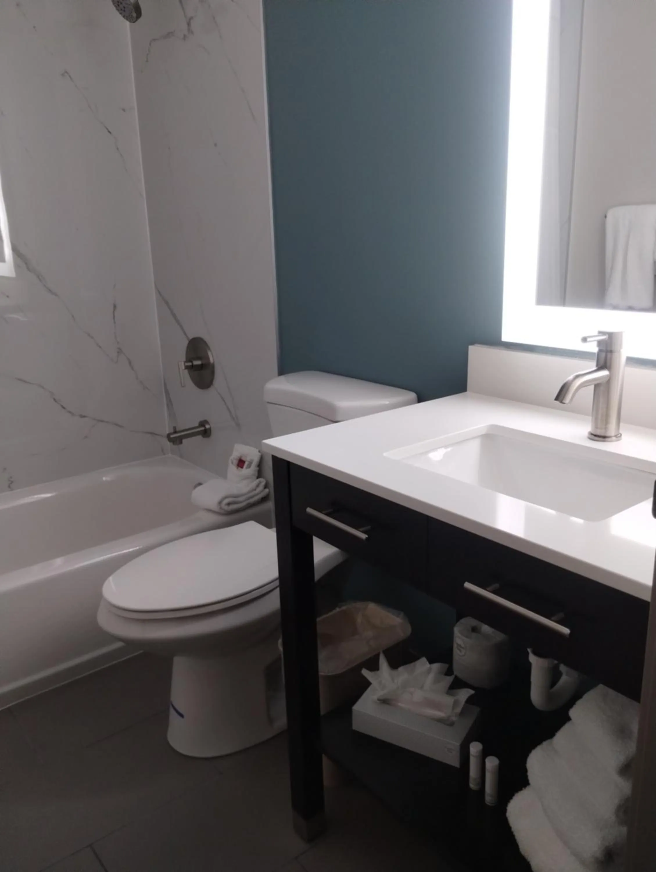 Shower in Sleep Inn Kelso Longview