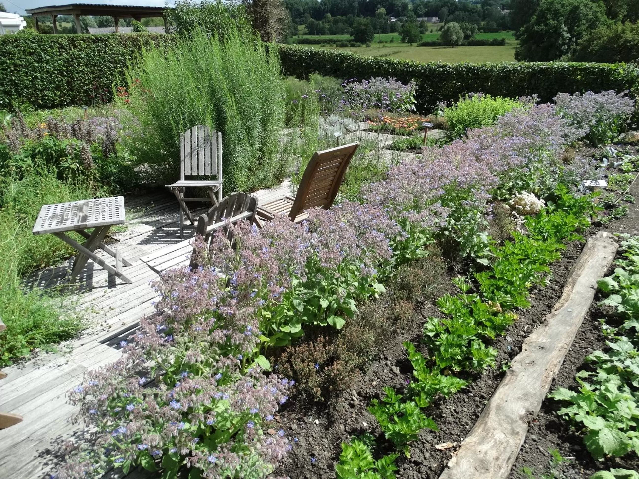 Garden in La Vannerie
