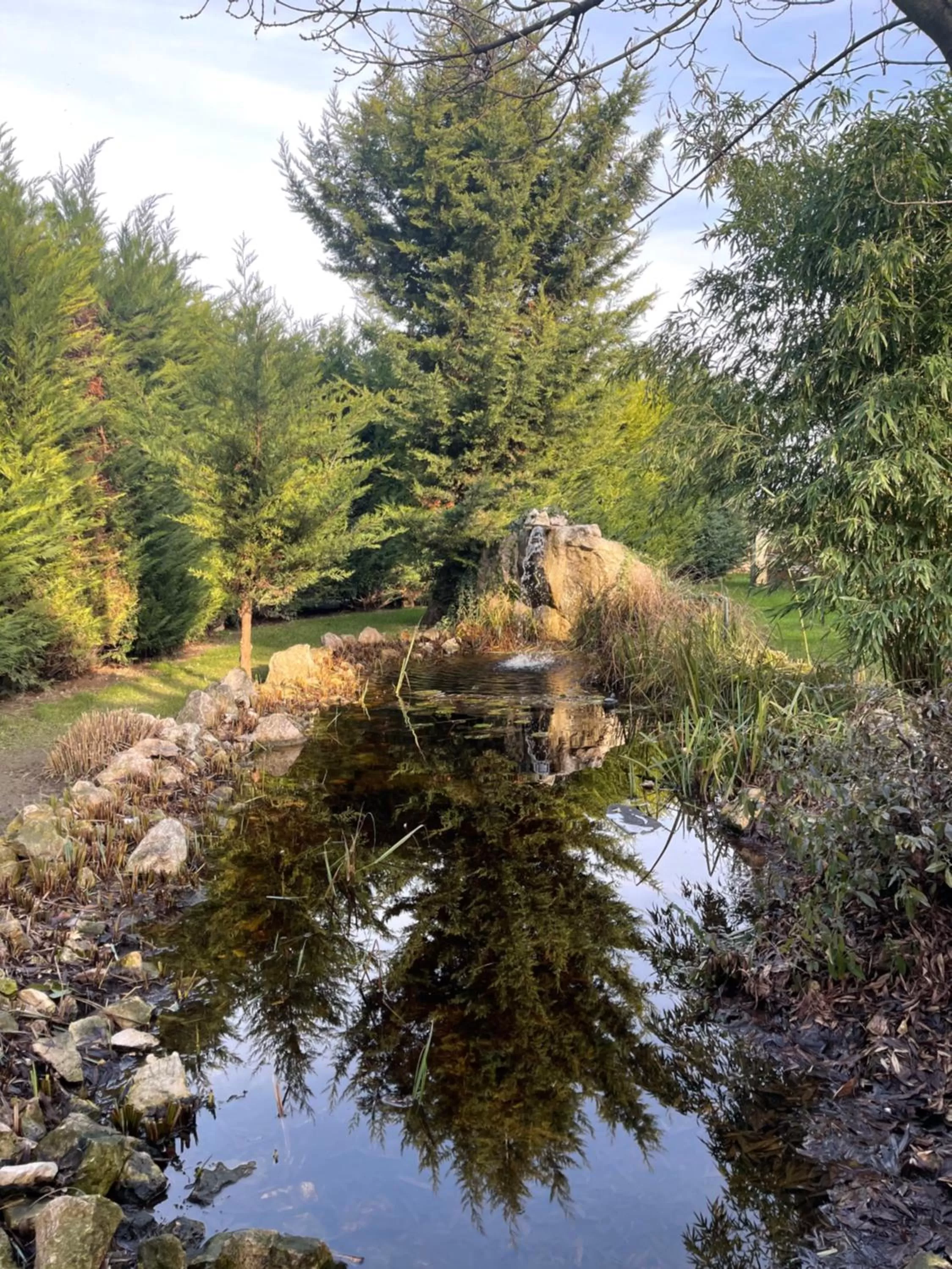 Natural landscape in Airport Szálló