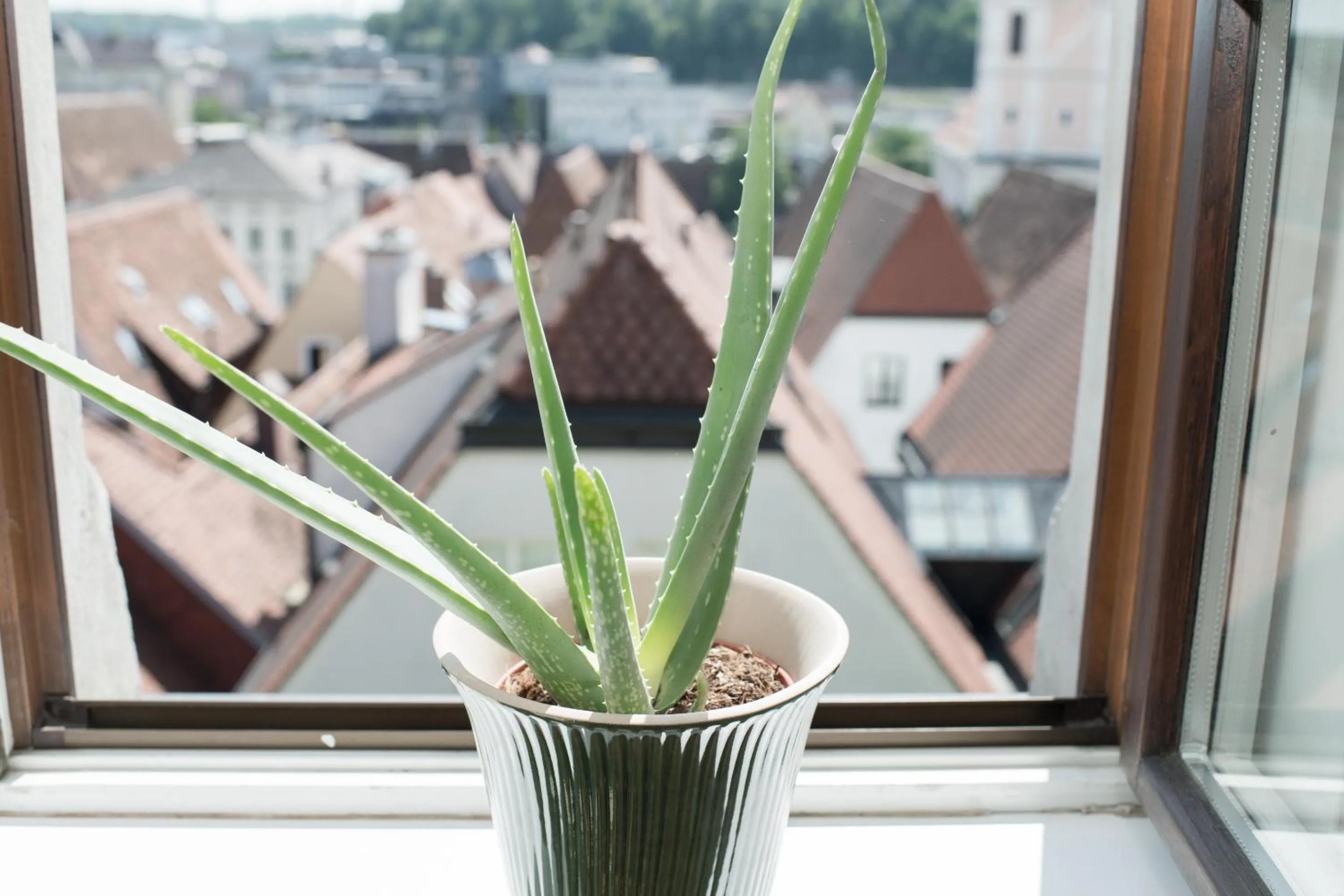 View (from property/room) in Stadthotel Styria