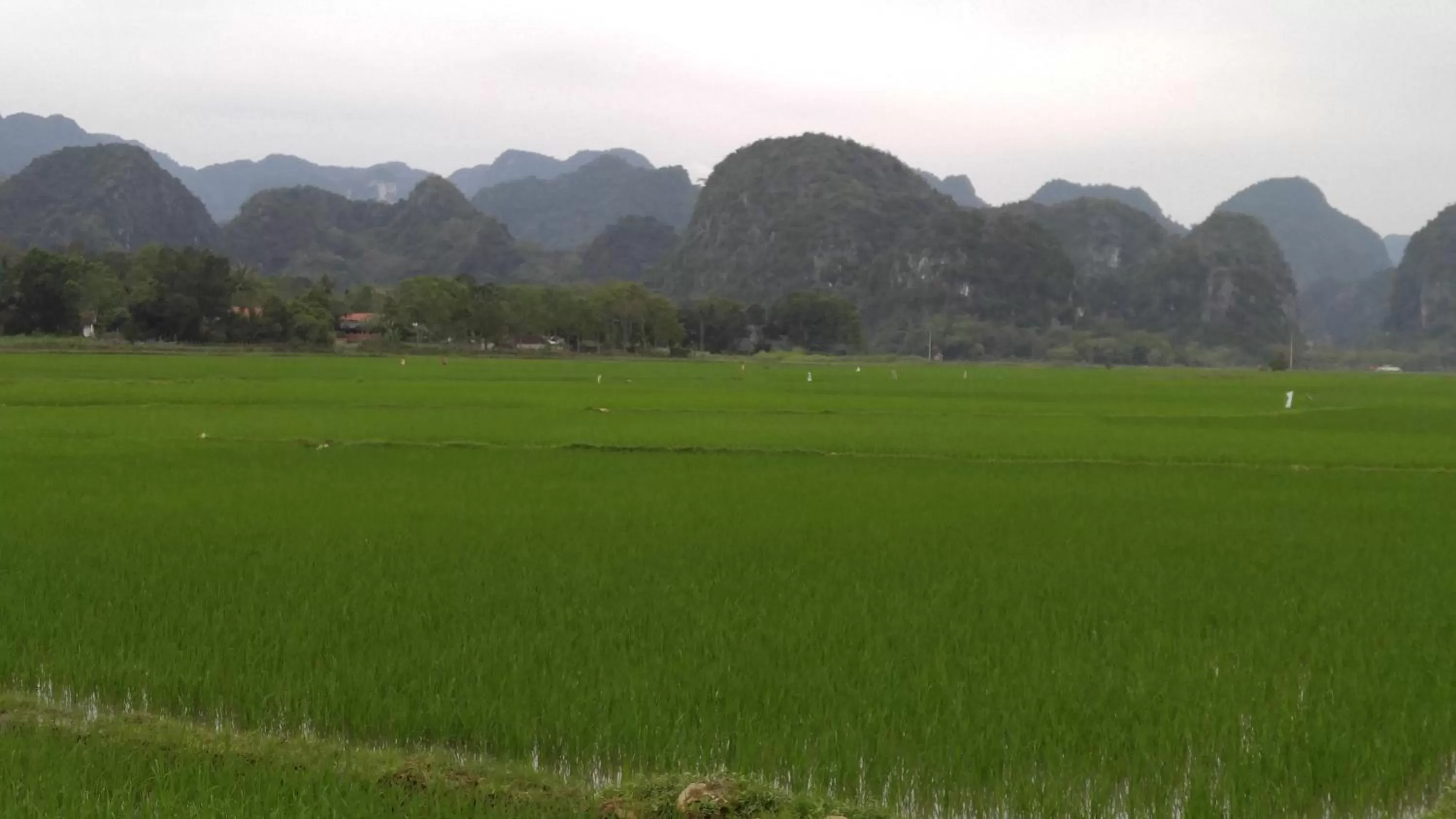 Other in Friendly Home Hotel