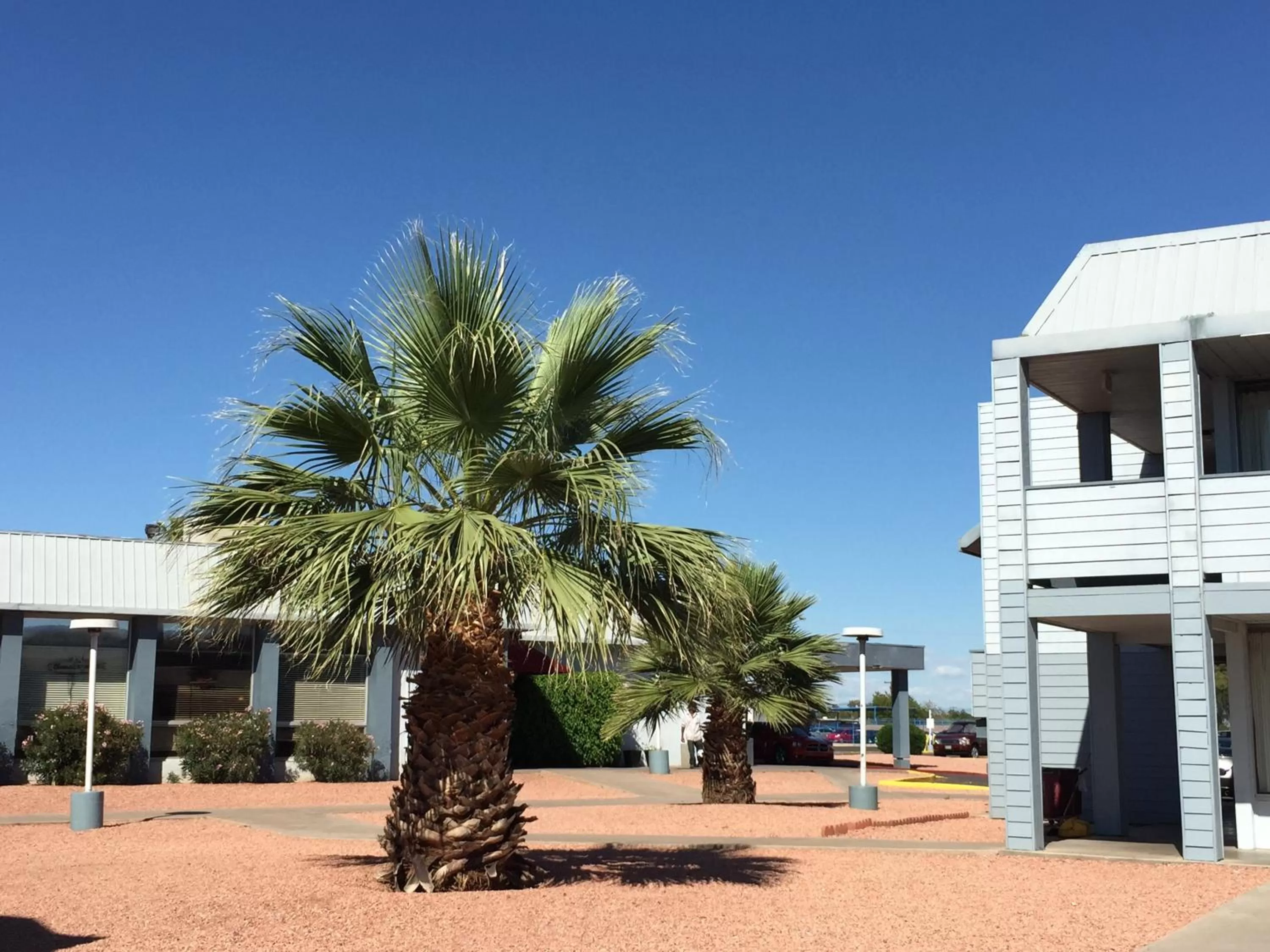 Decorative detail in EZ 8 Motel Airporter