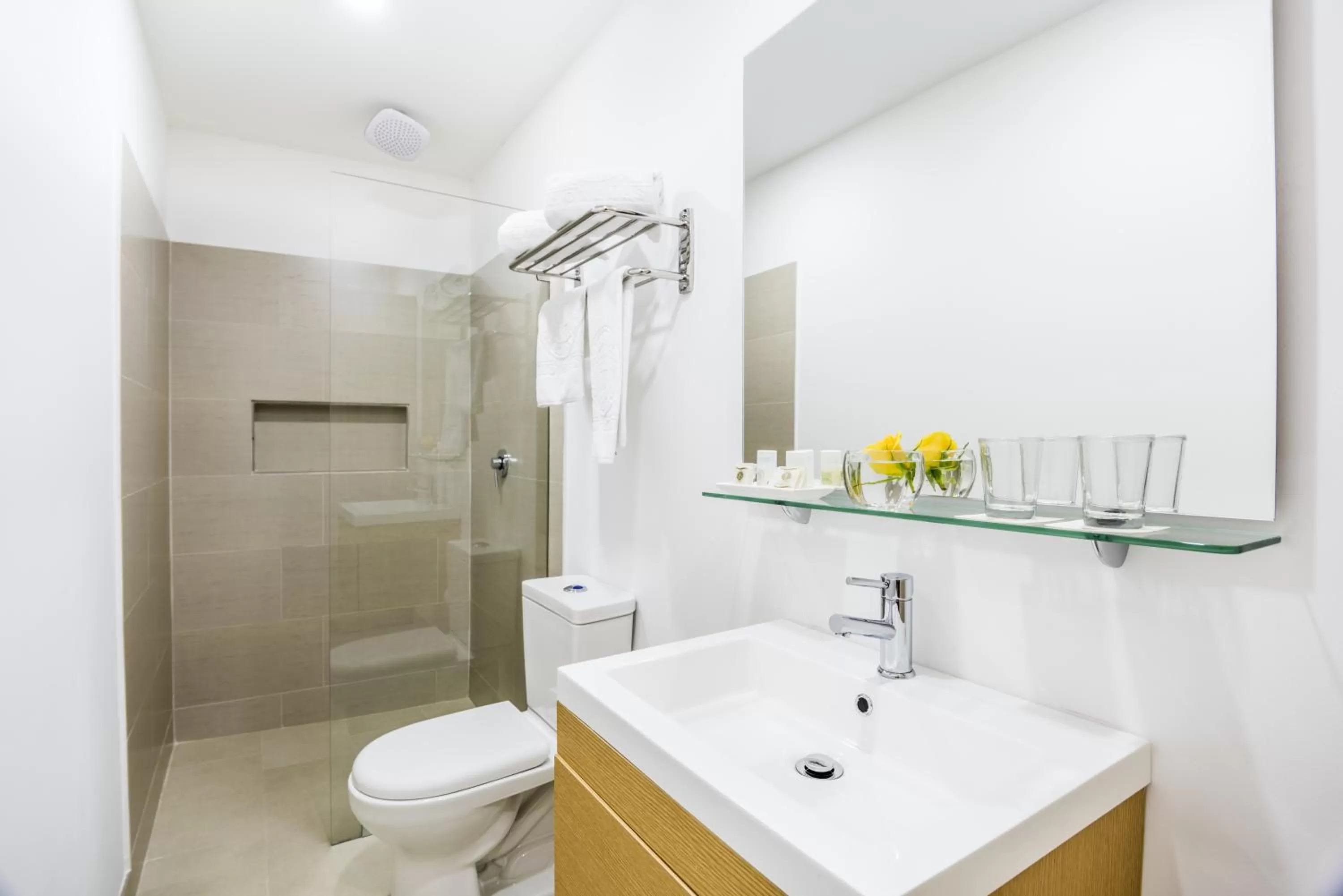 Shower in Hotel Asturias Medellin