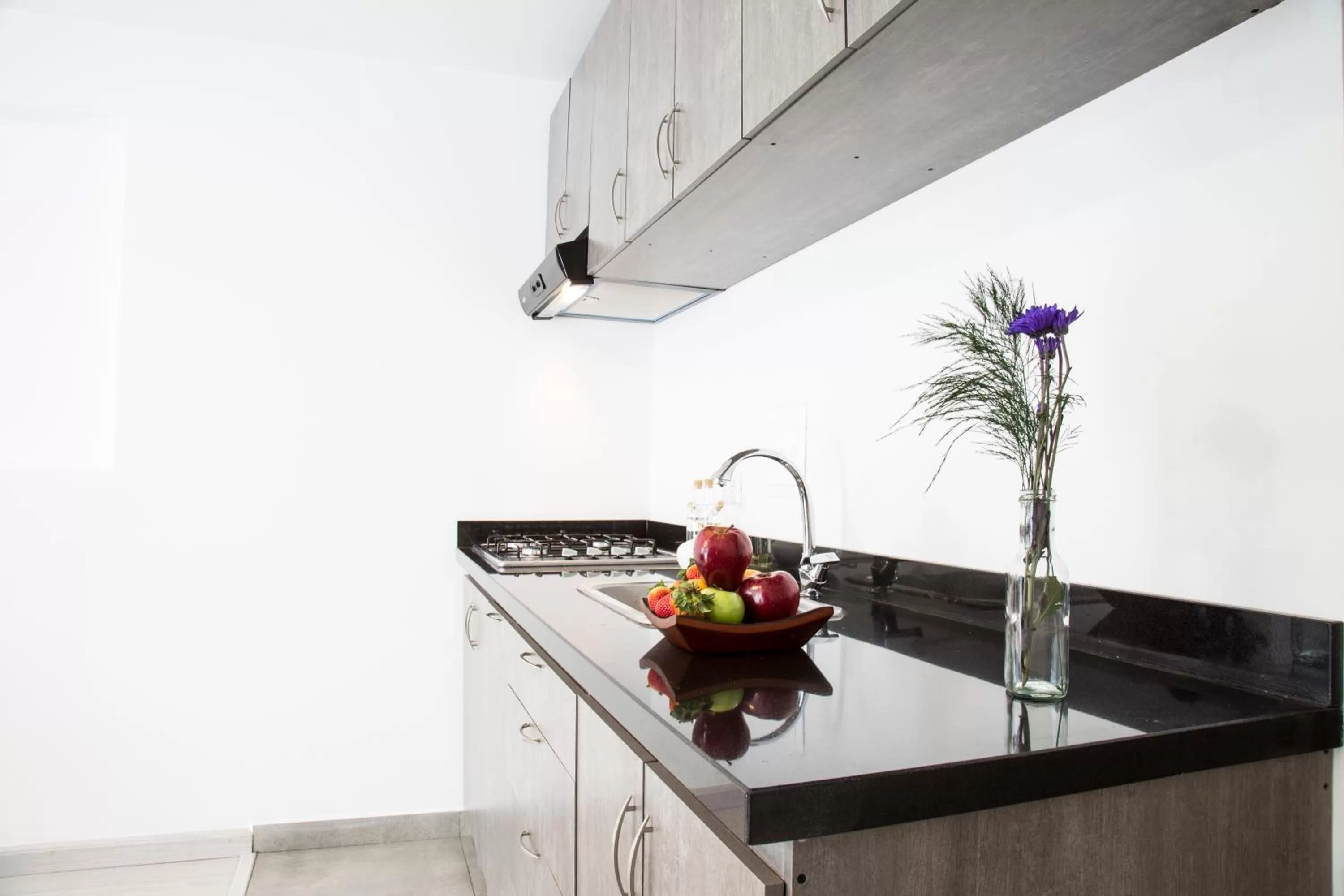 Kitchen or kitchenette, Kitchen/Kitchenette in Agora Suites Self-Service Boutique Hotel