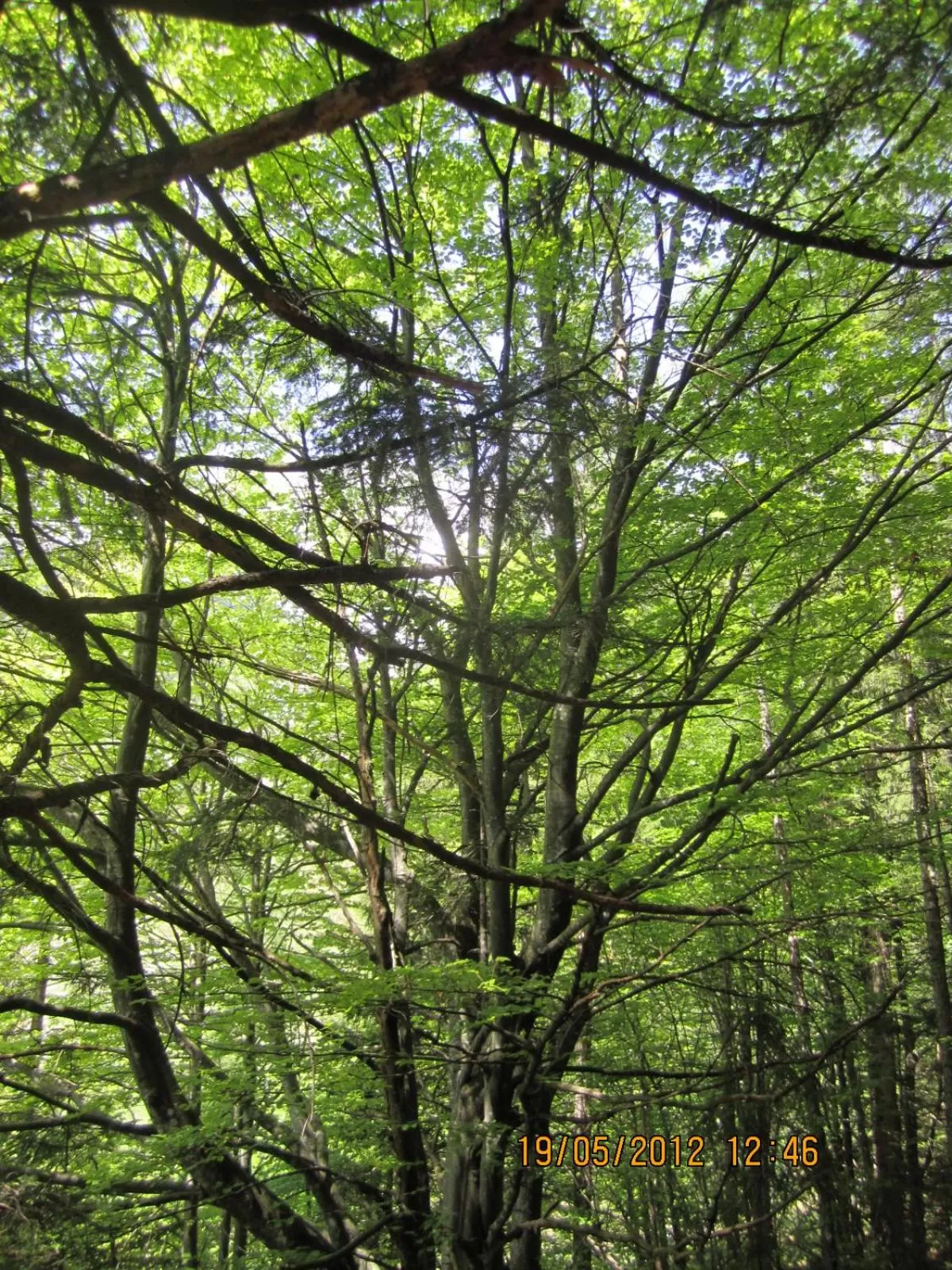 Hiking in Apparthotel Tom Sojer