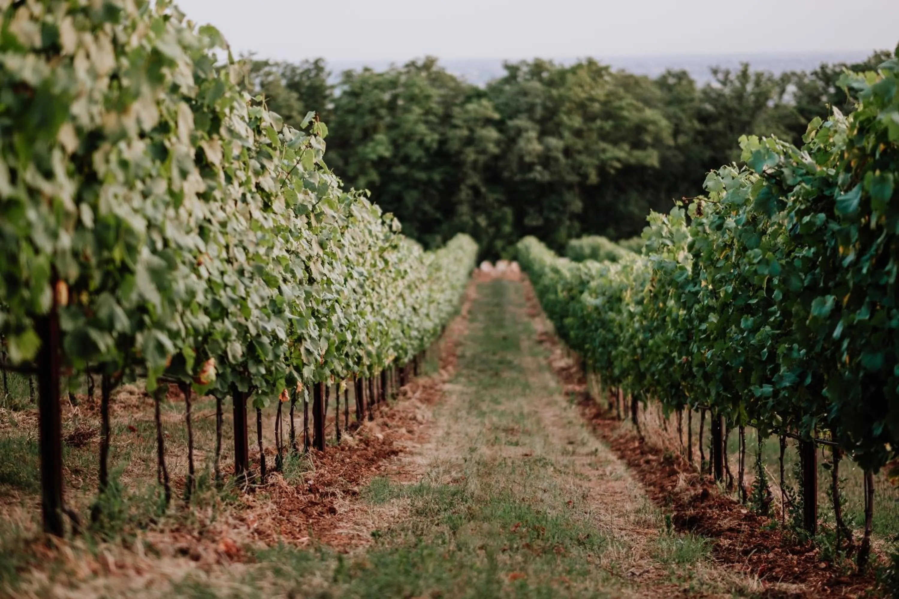 Hiking in Hotel Alle Acque