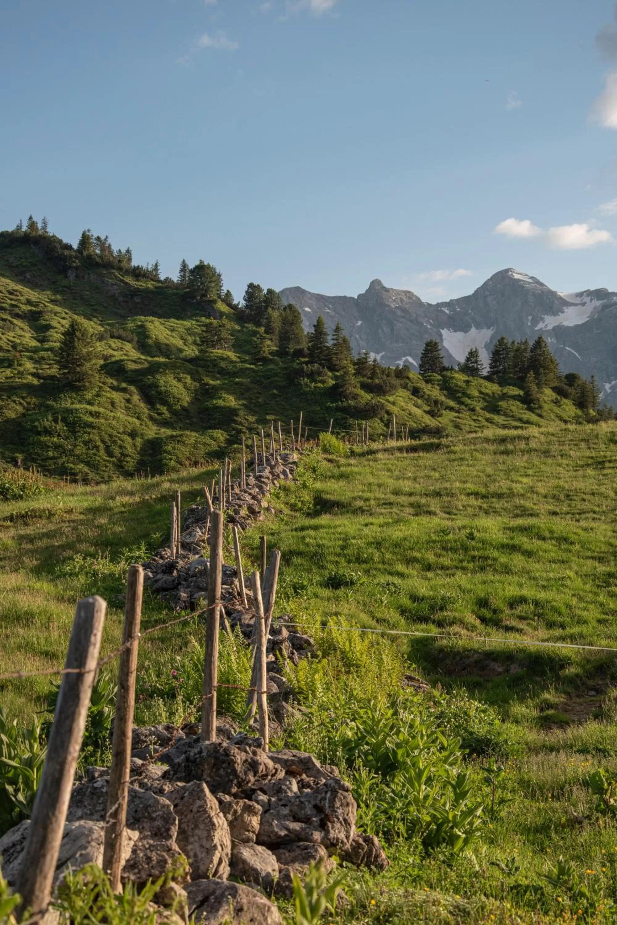 Natural landscape in Hotel Hubertus - Au Bregenzerwald