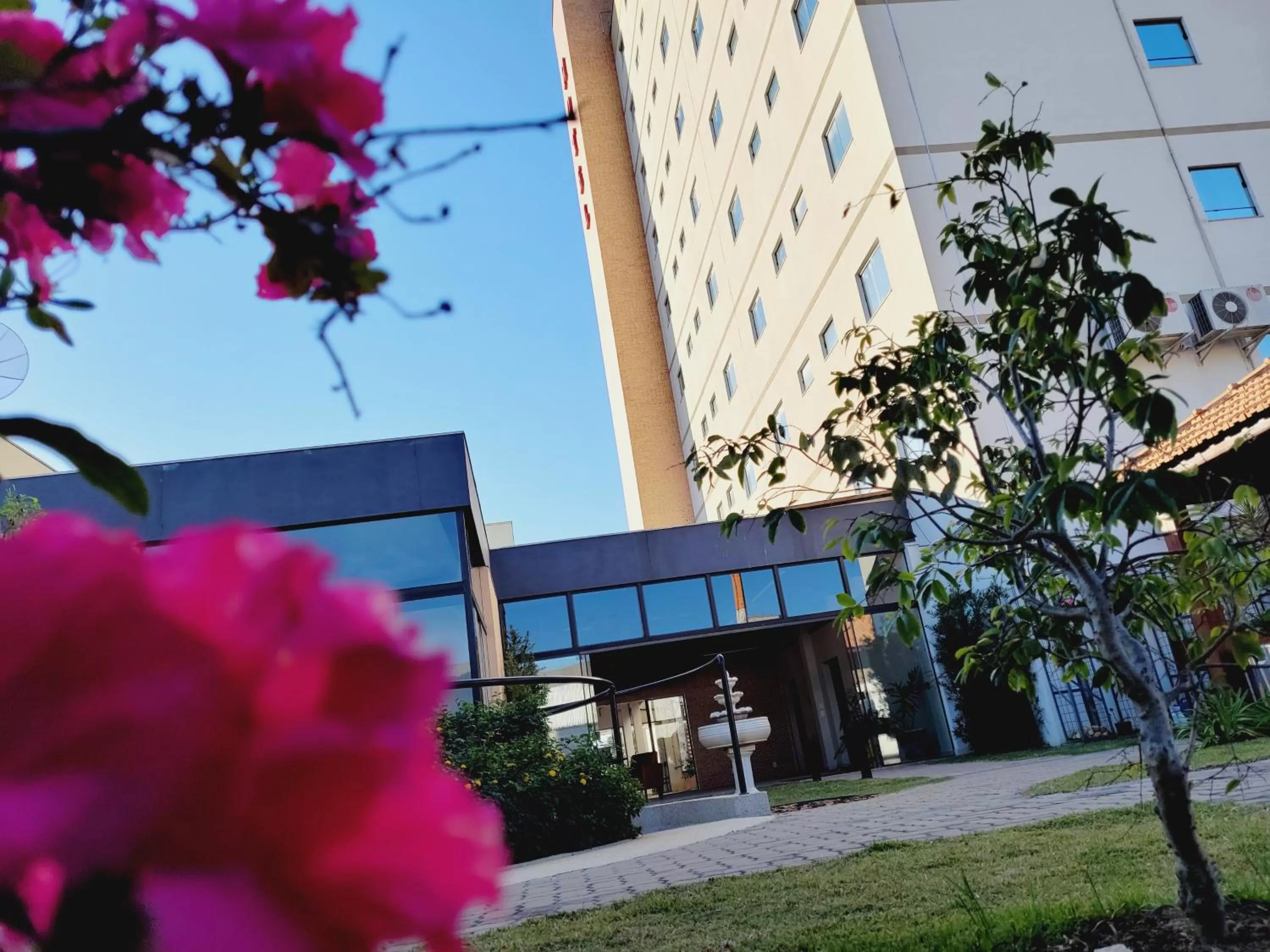 Garden in Pinda Palace Hotel