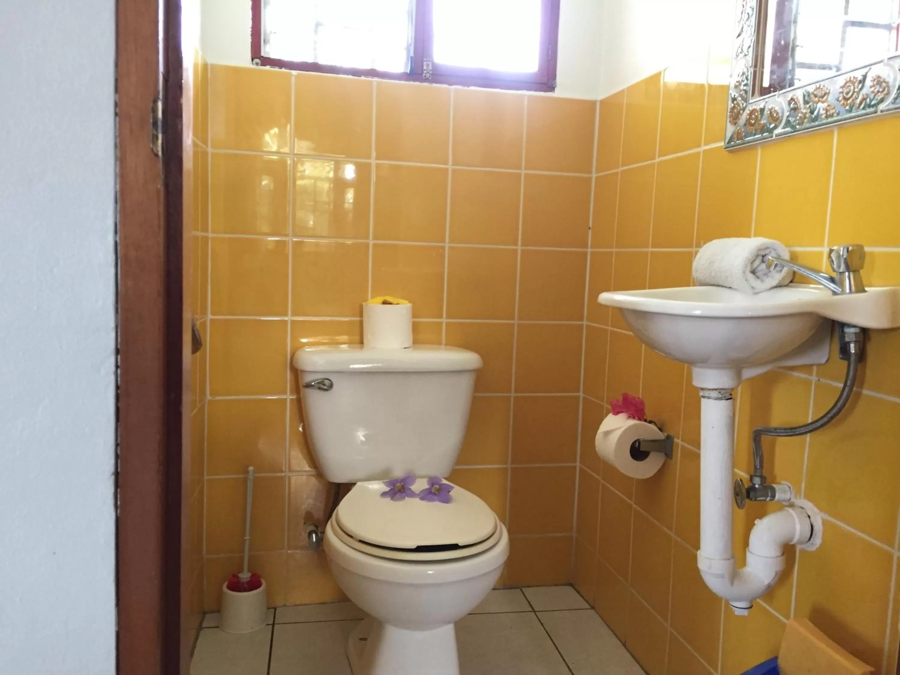 Toilet in La Perlita